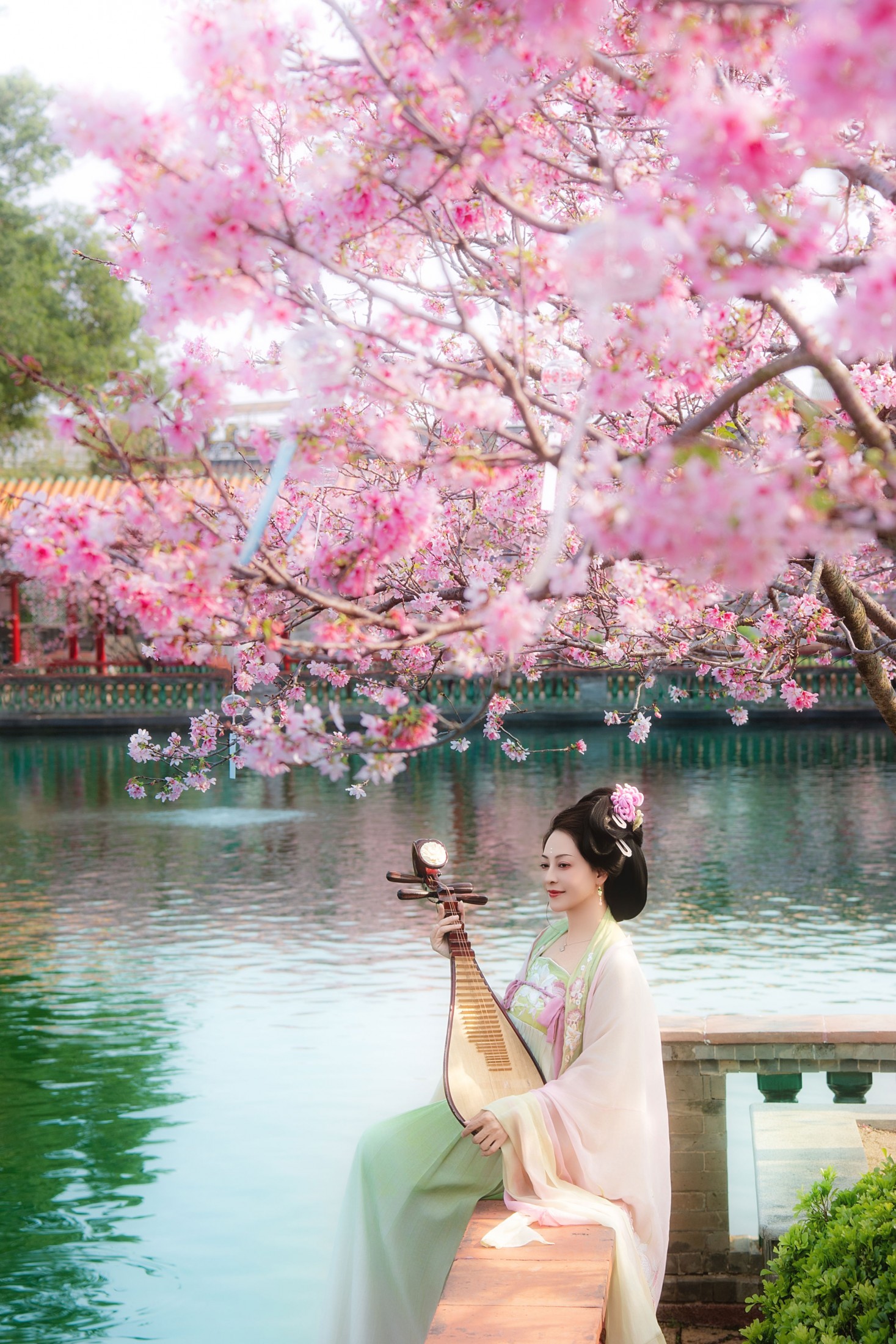 笑一笑 - 《春樱》[13P]