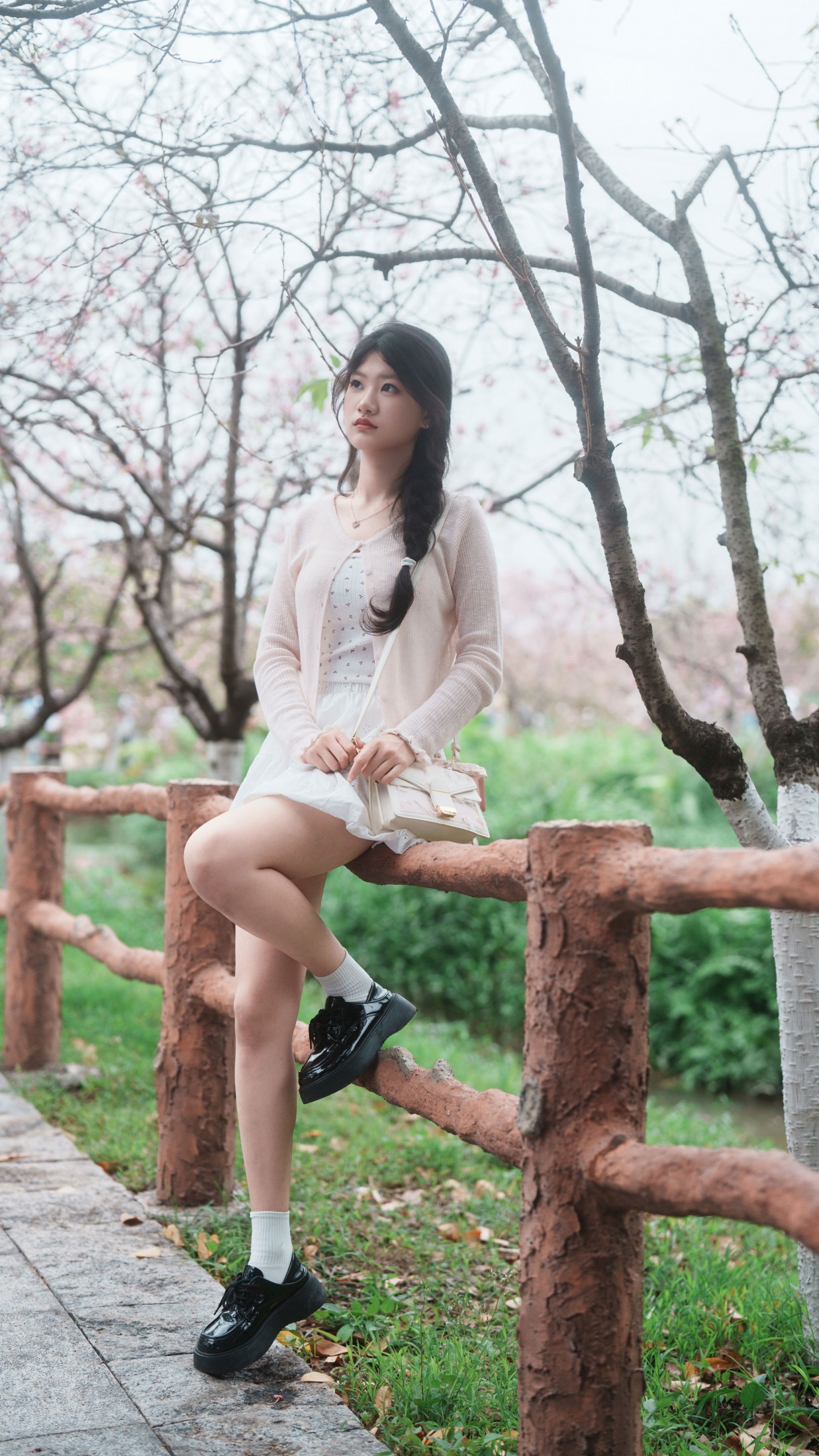 《樱花之恋》[12P]