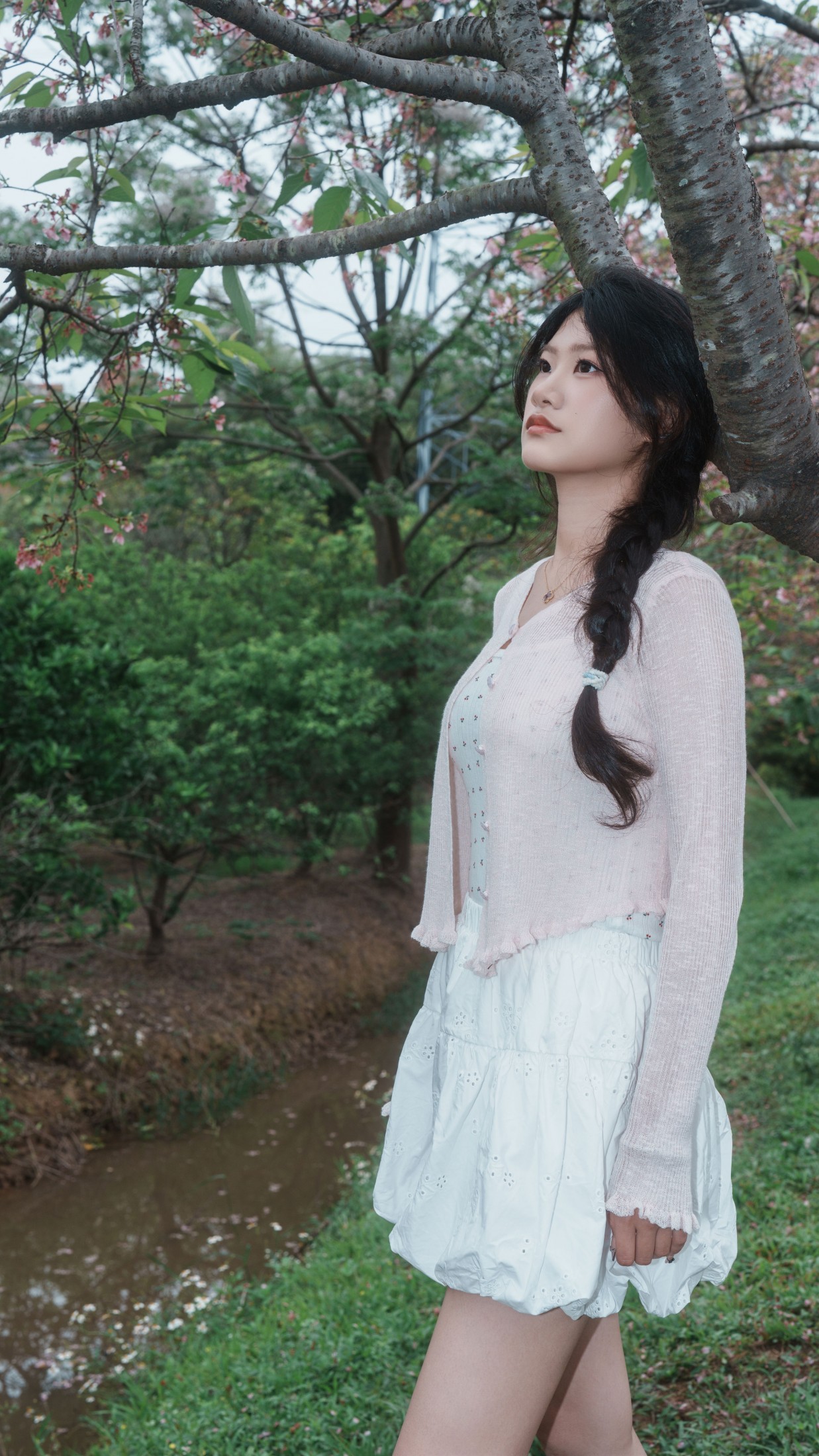 《樱花之恋》[12P]