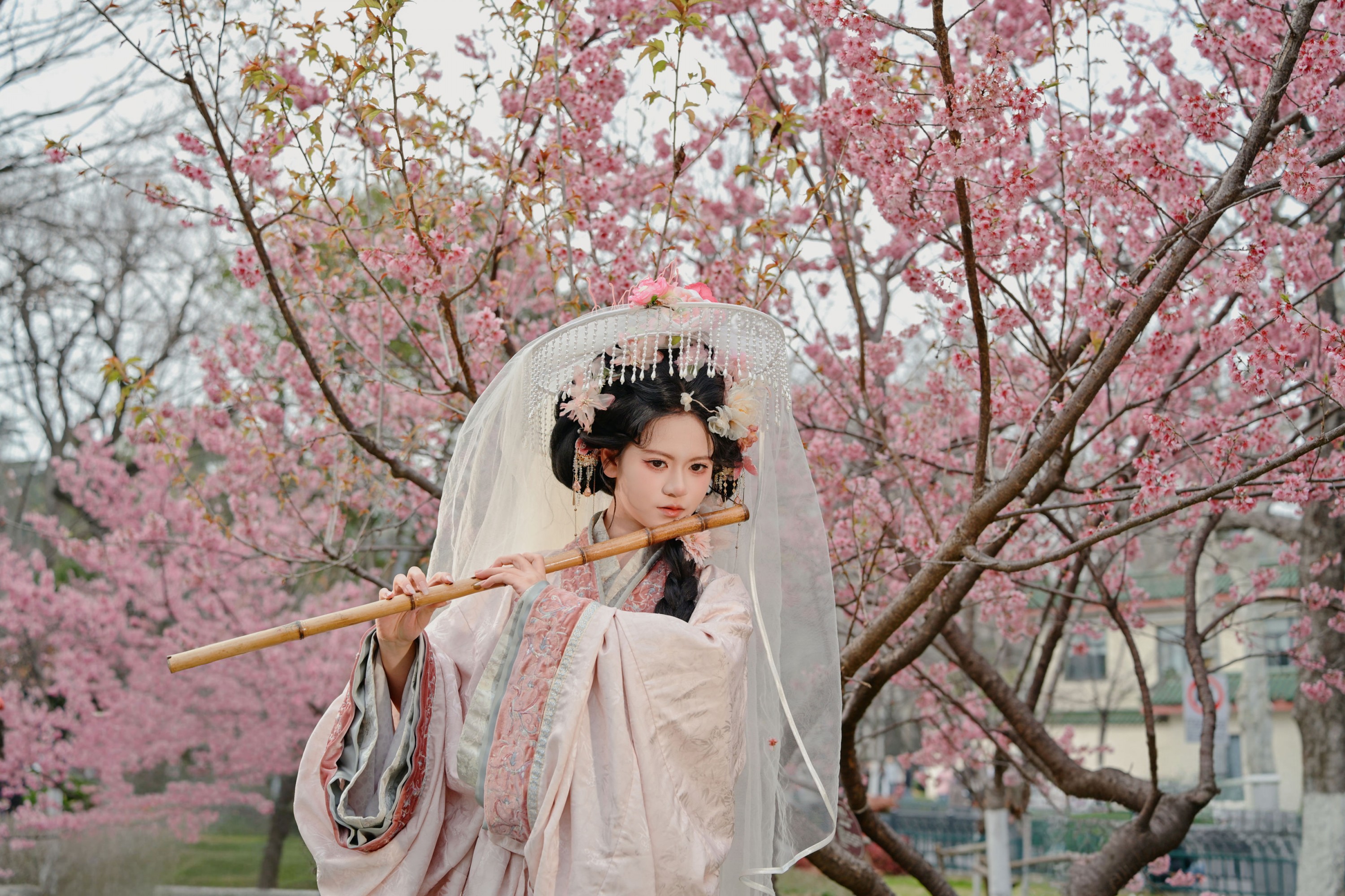 《生命就是一万次的春和景明》[13P]