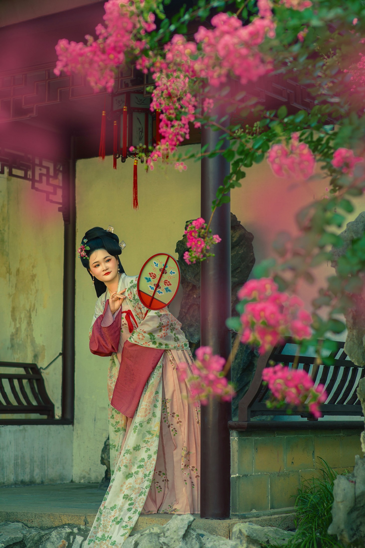 《网师园的紫藤》[16P]