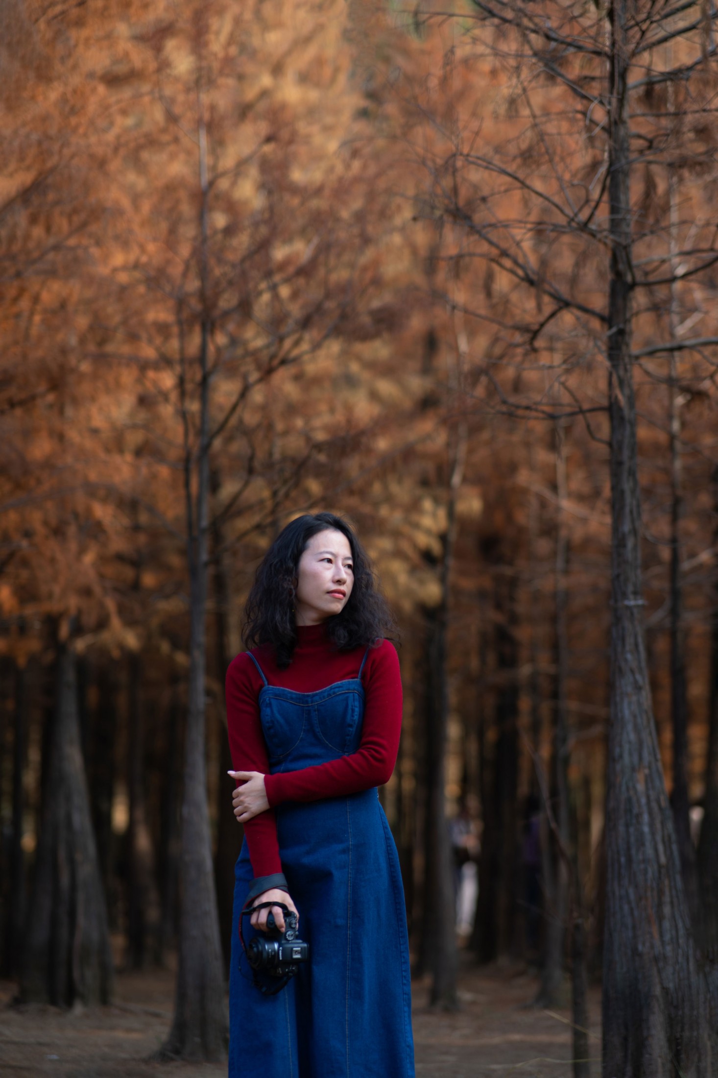 《情暖落羽杉林》[12P]