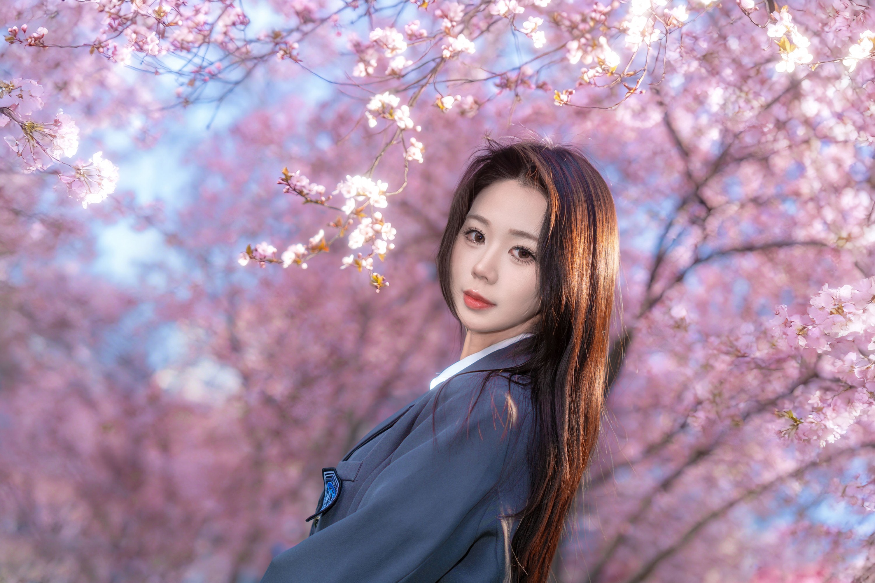 pig - 《樱花树下》[9P]