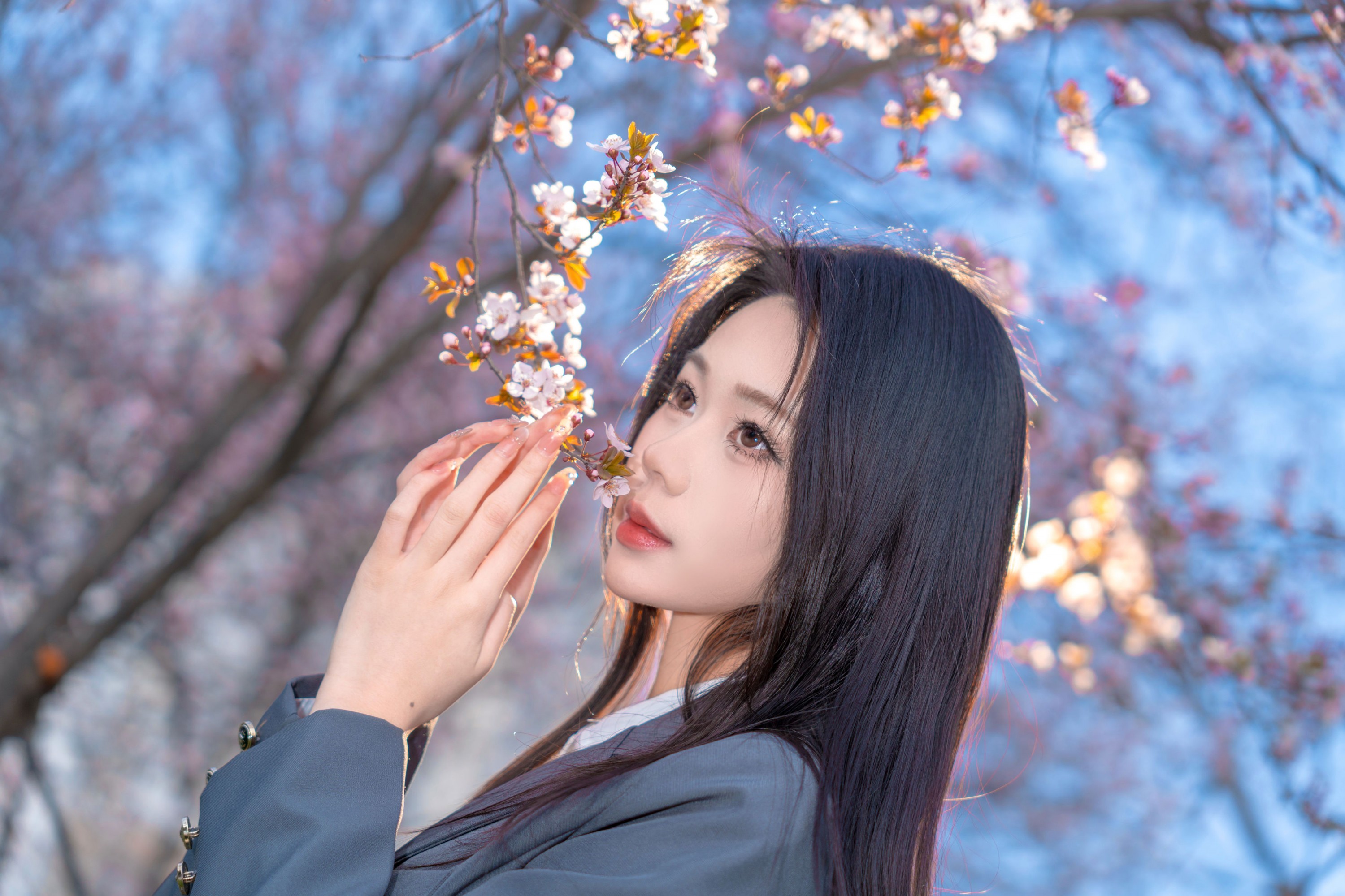 pig - 《樱花树下》[9P]