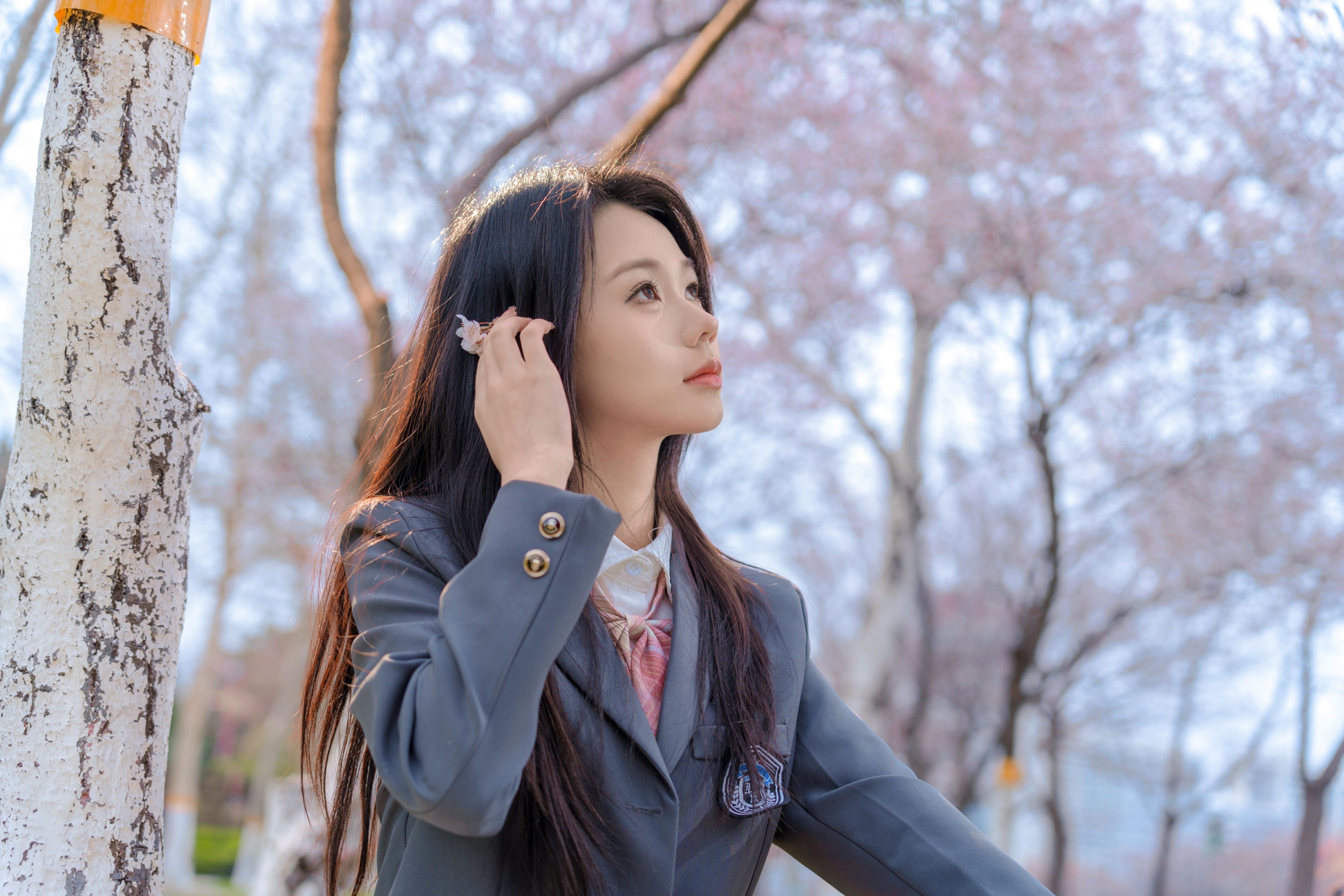 pig - 《樱花树下》[9P]