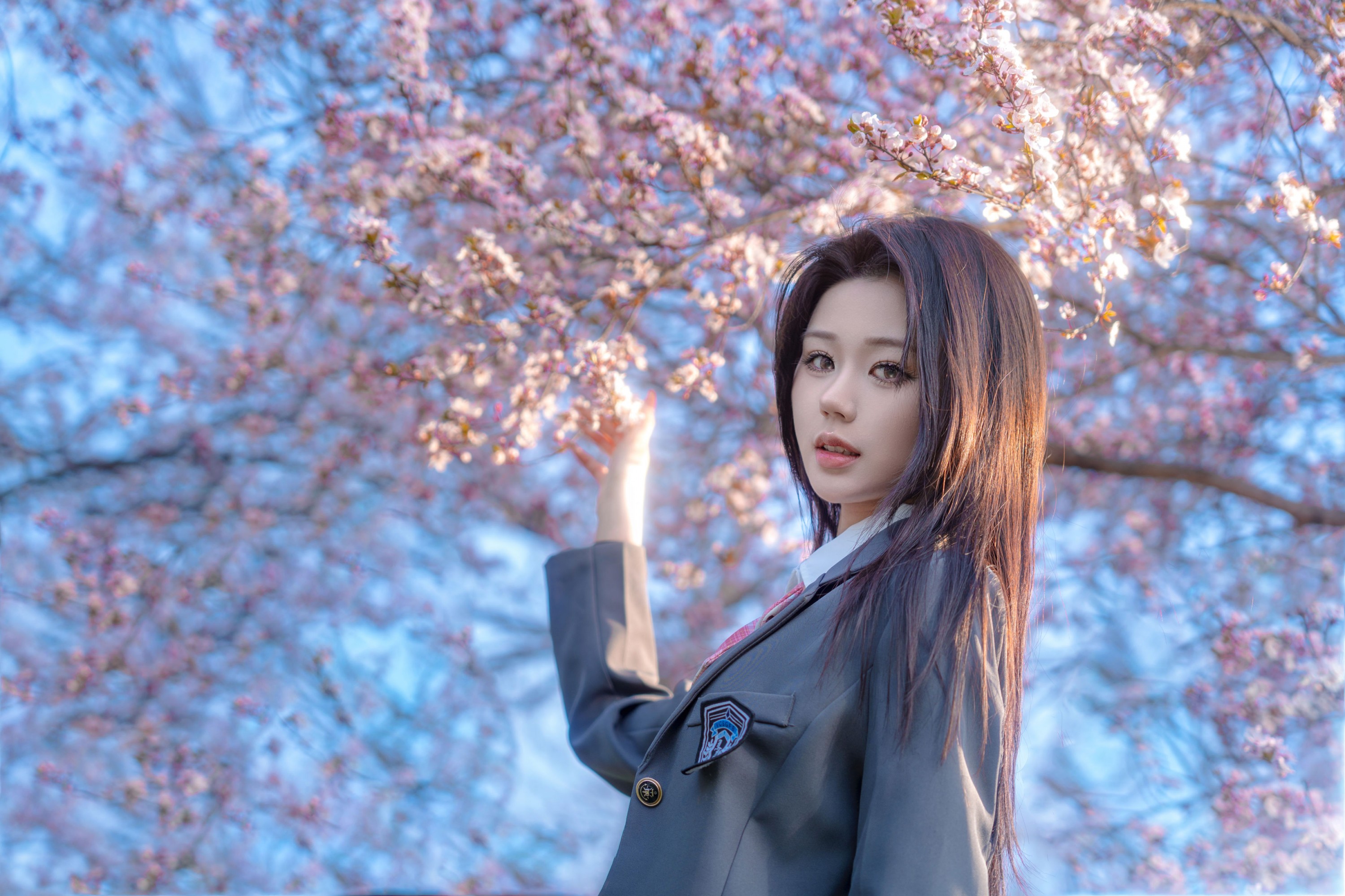 pig - 《樱花树下》[9P]