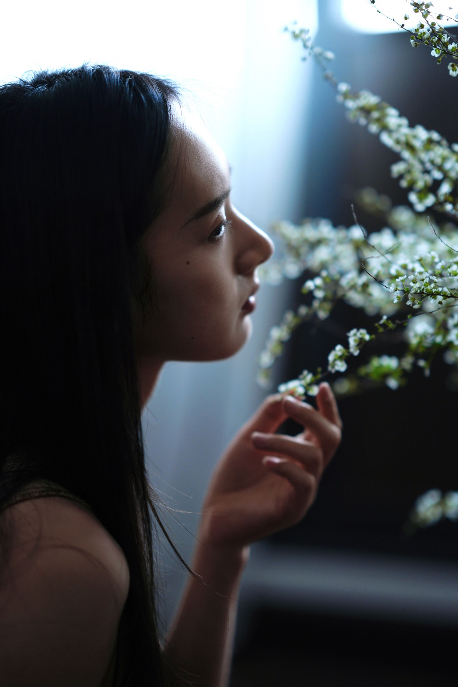 方休。 - 《暗调雪柳情绪大片｜于暗处生长》[9P]