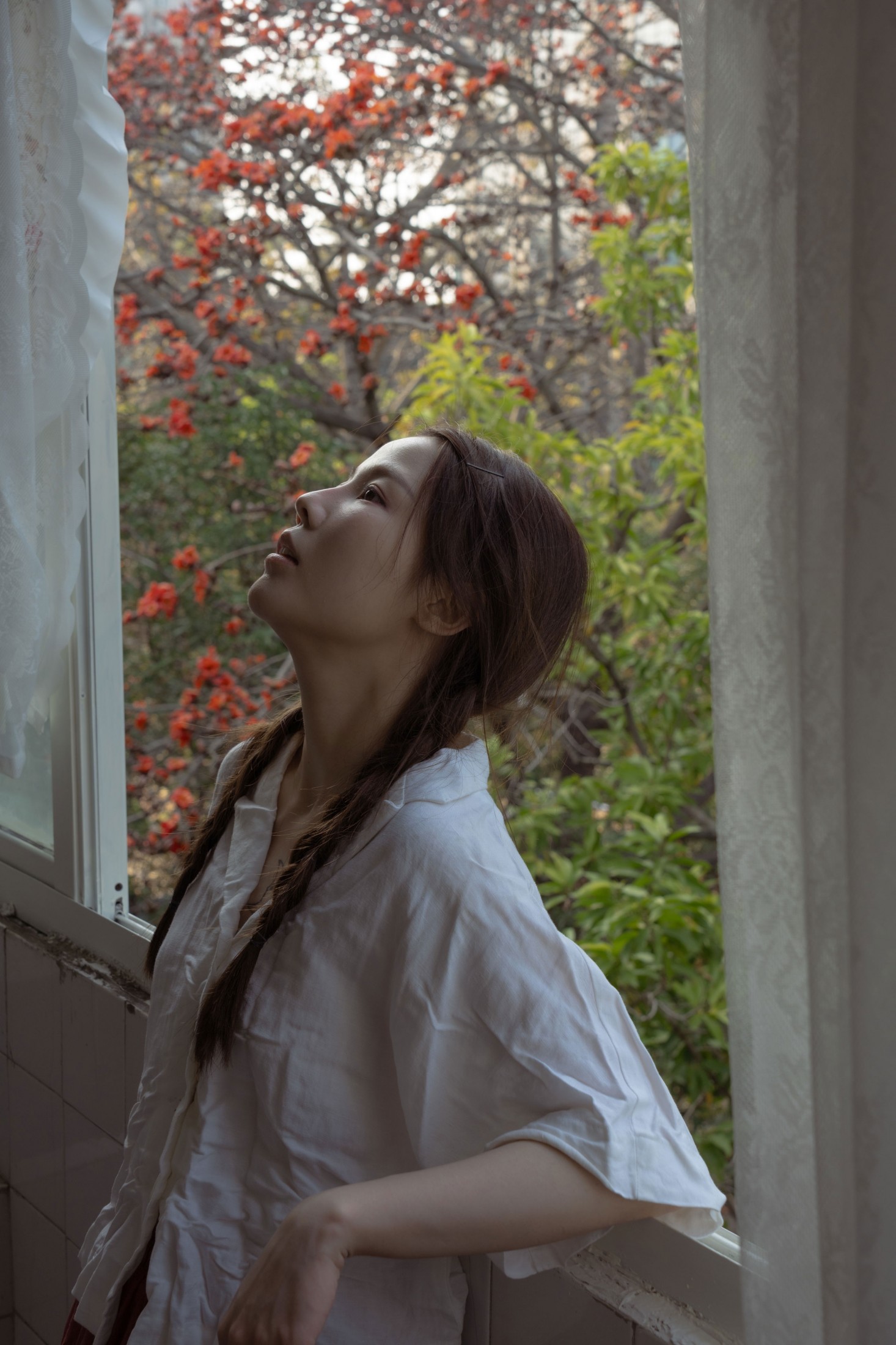 菜菜 - 《老房子旁边有一颗木棉树》[23P]