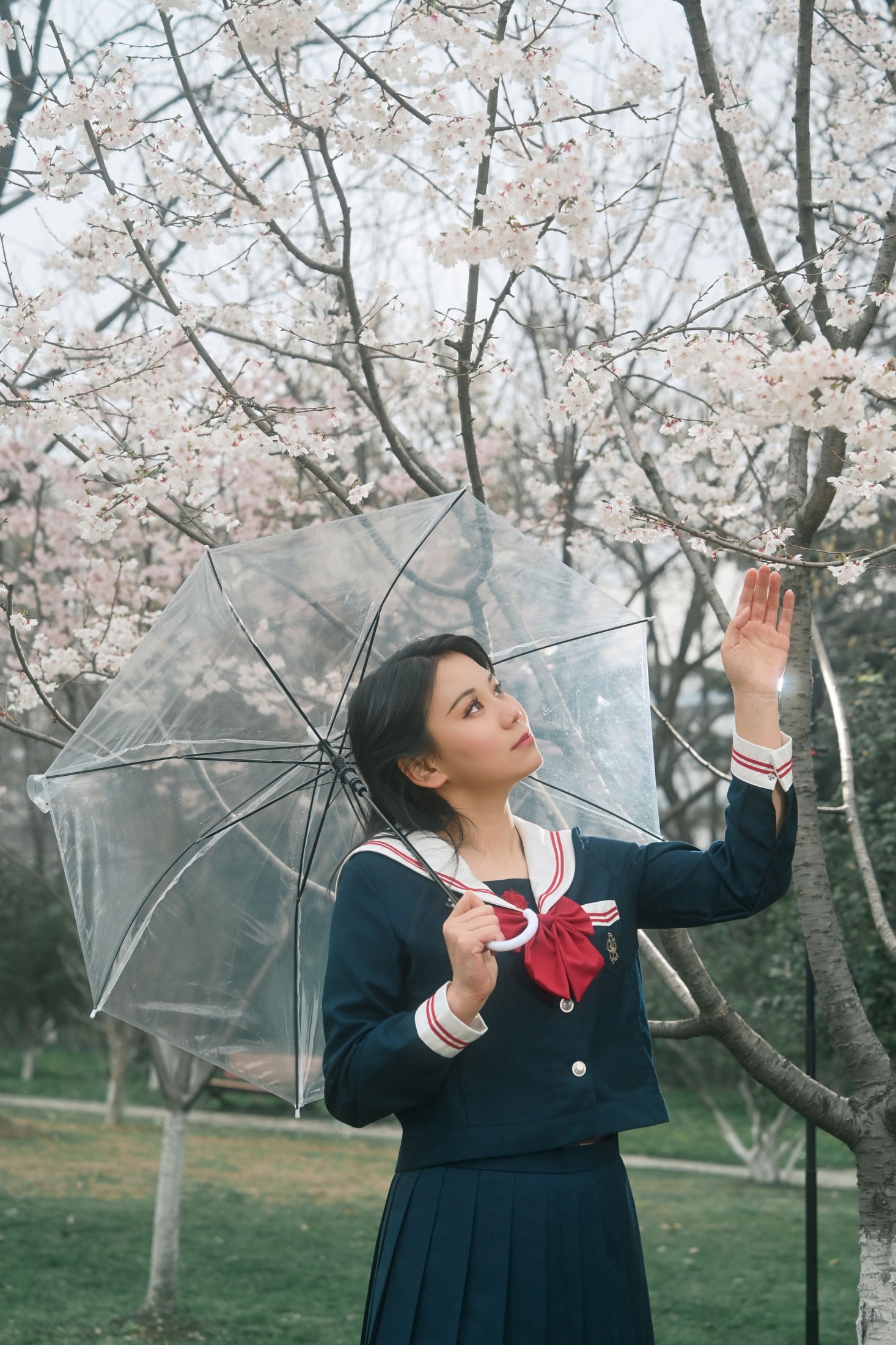 《春信，已送达》[9P]