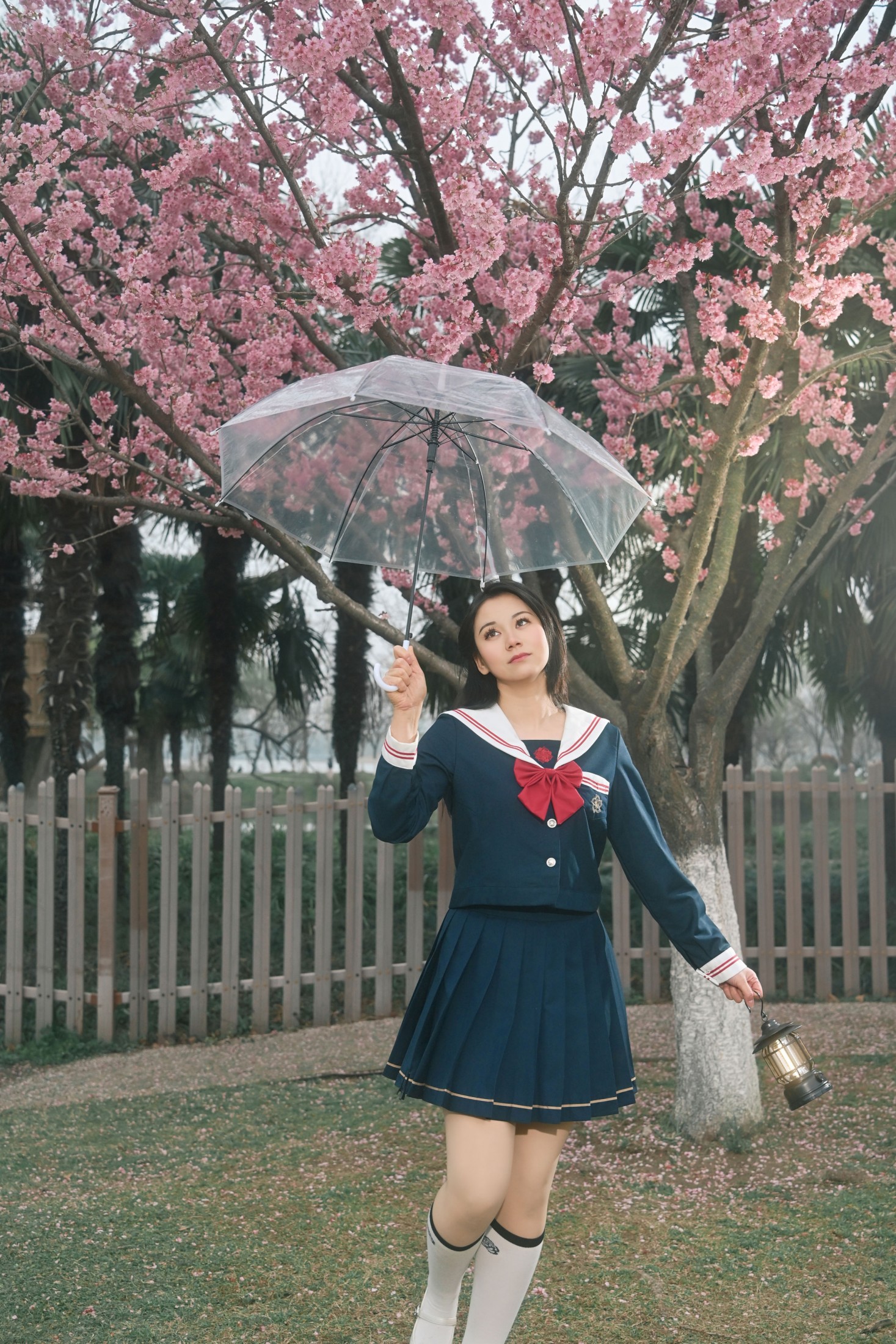 《春信，已送达》[9P]