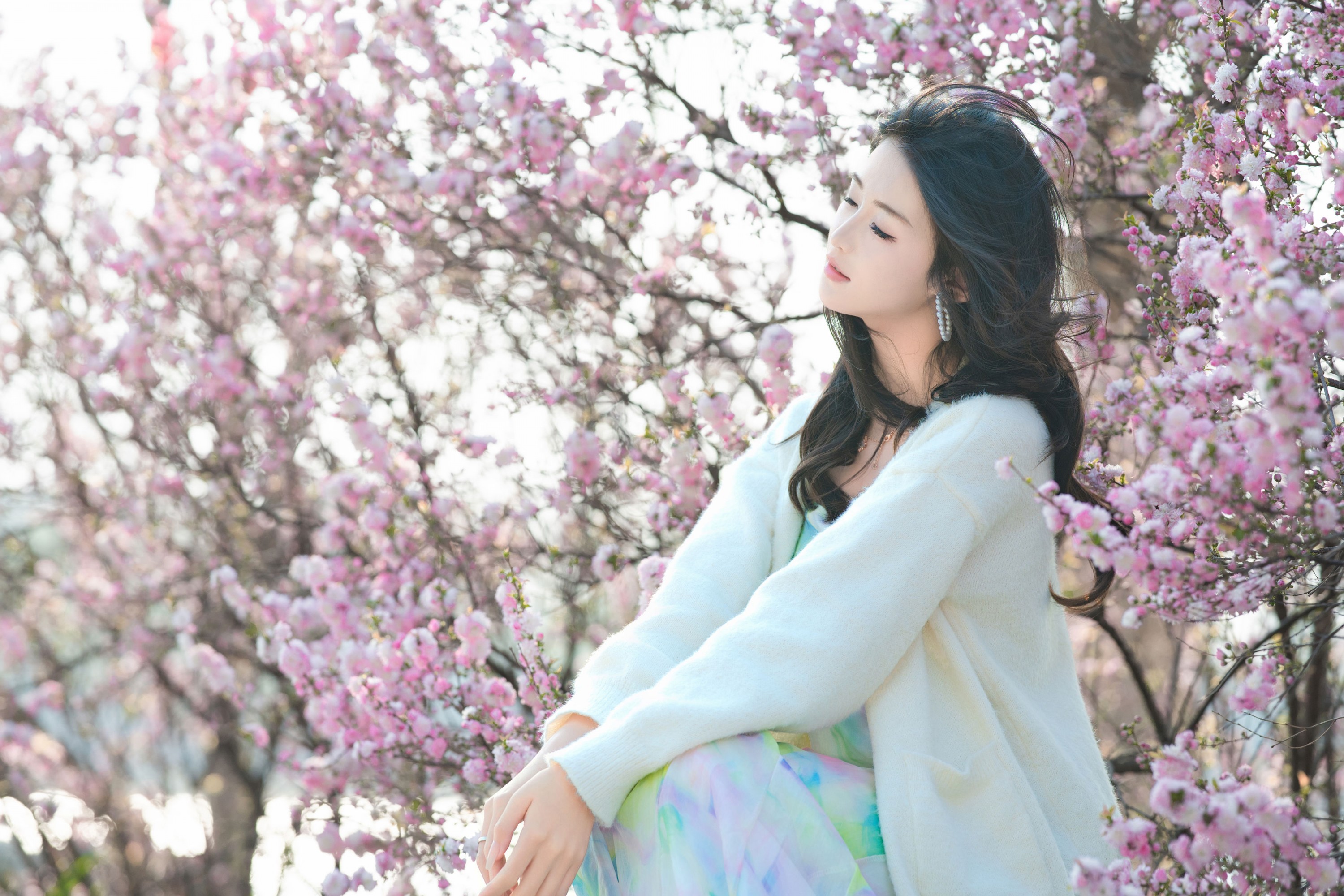 《书中自有颜如玉・春日湖畔 书卷与花》[29P]