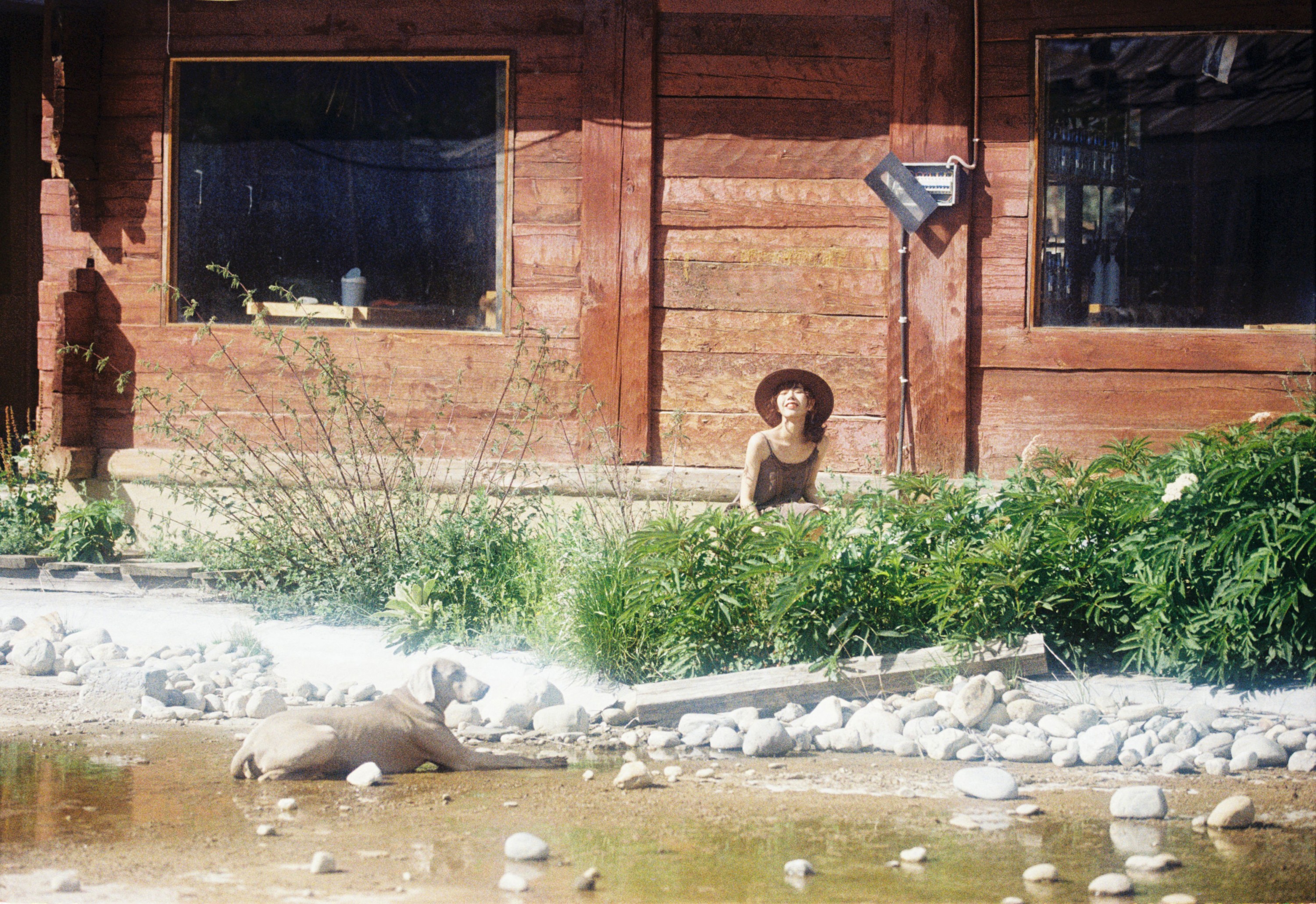 《这只小狗叫米饭》[20P]