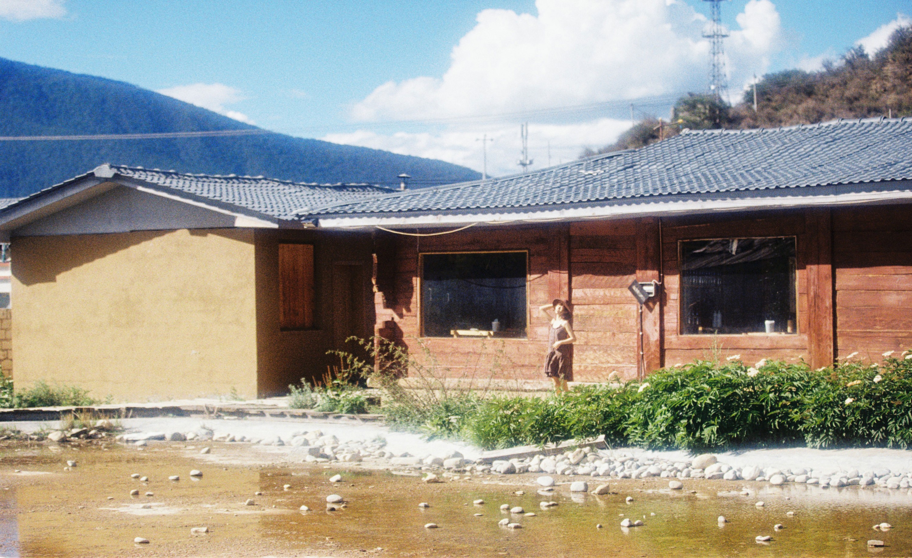 《这只小狗叫米饭》[20P]