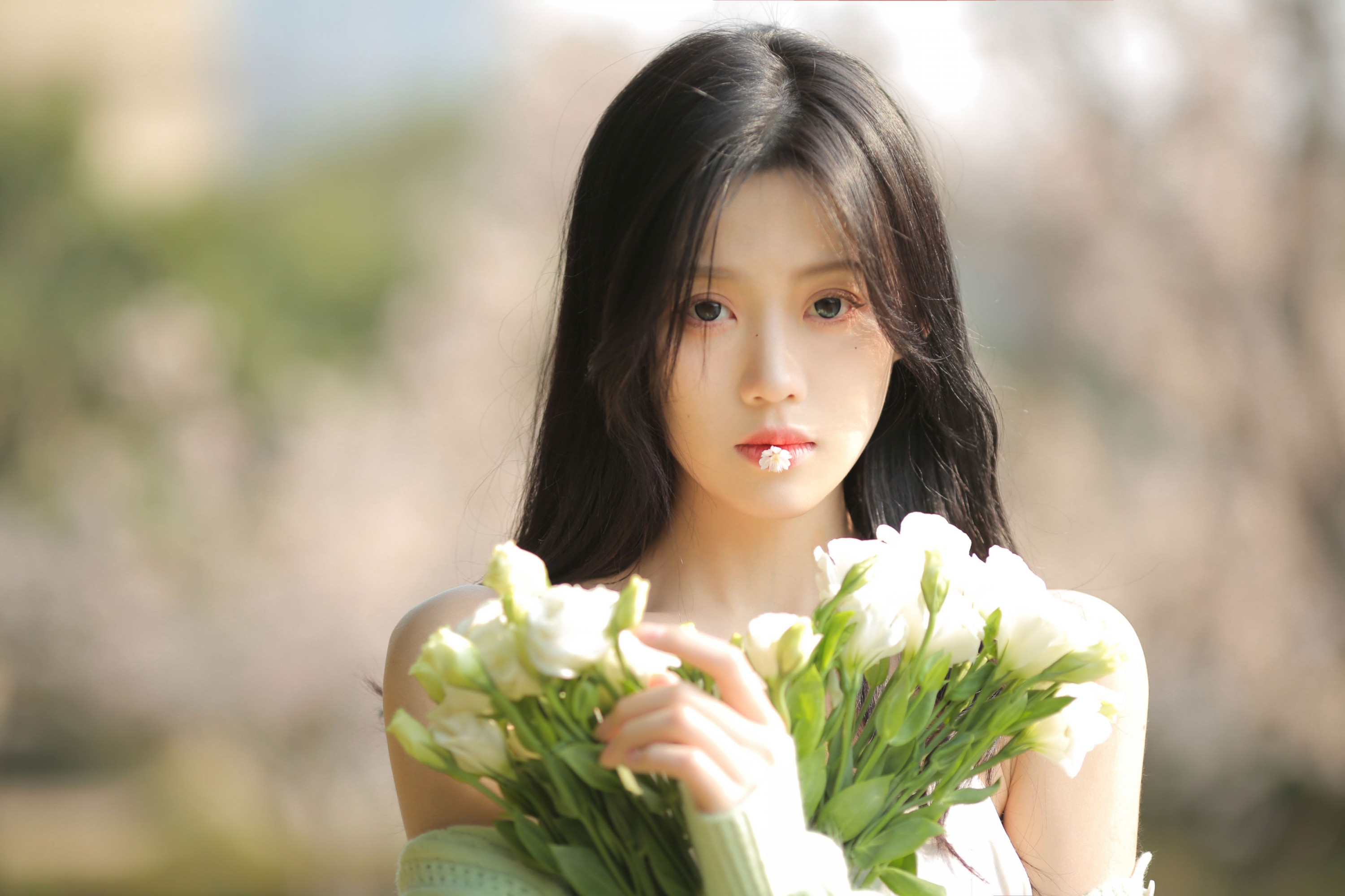 LULLABY – 《我的生命是一万次春和景明》[36P]