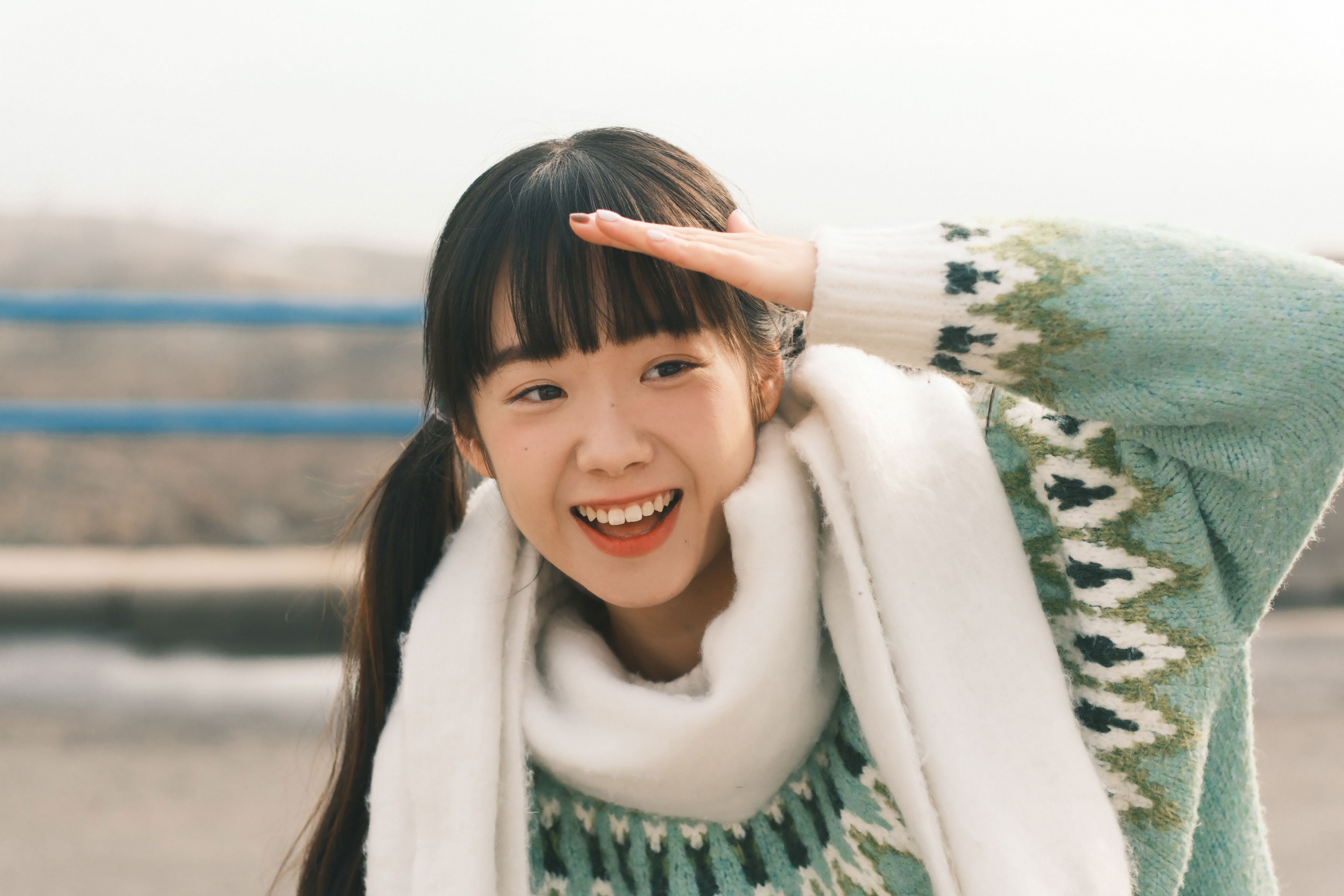 《沿海地带》[13P]