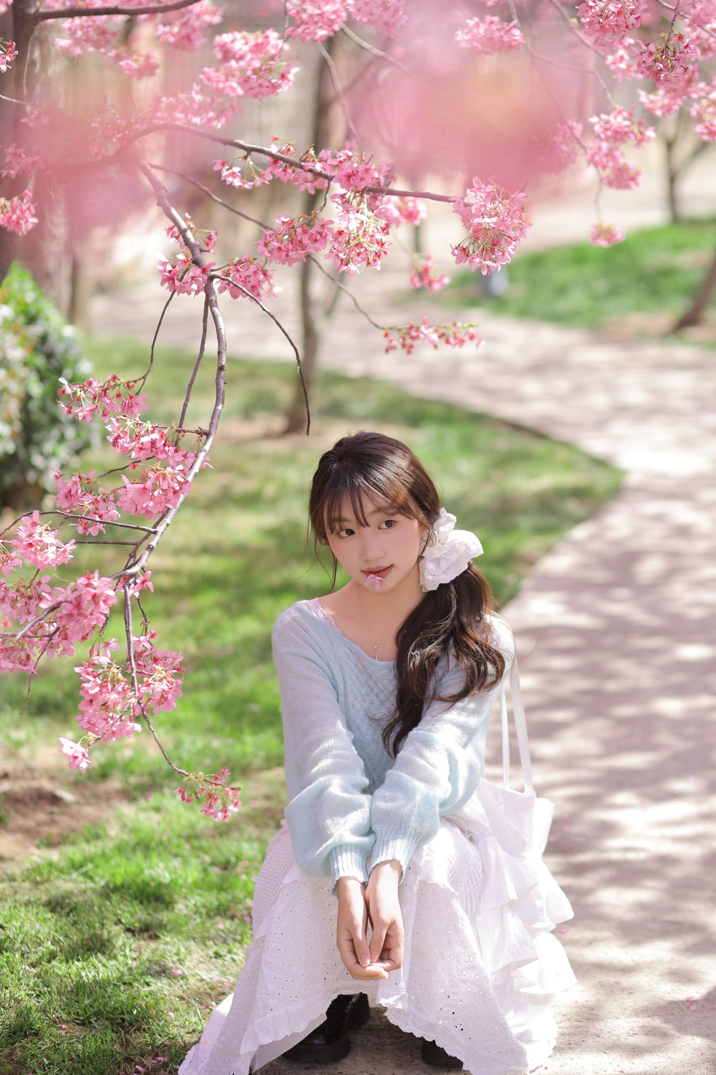 《春日限定樱花季》[21P]