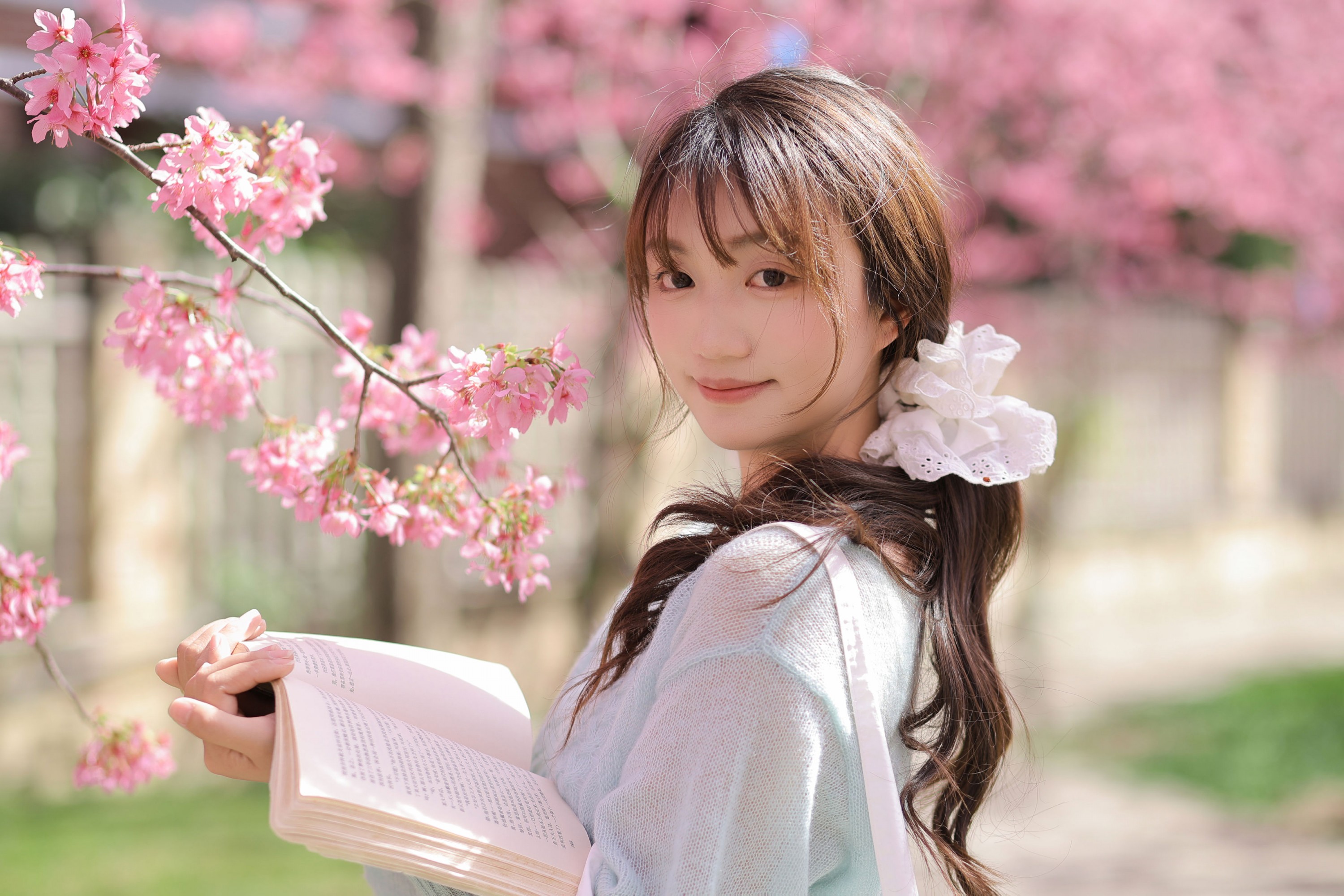 《春日限定樱花季》[21P]