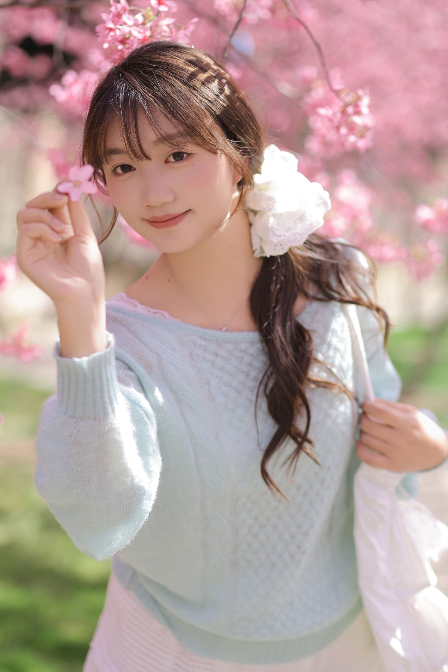 《春日限定樱花季》[21P]