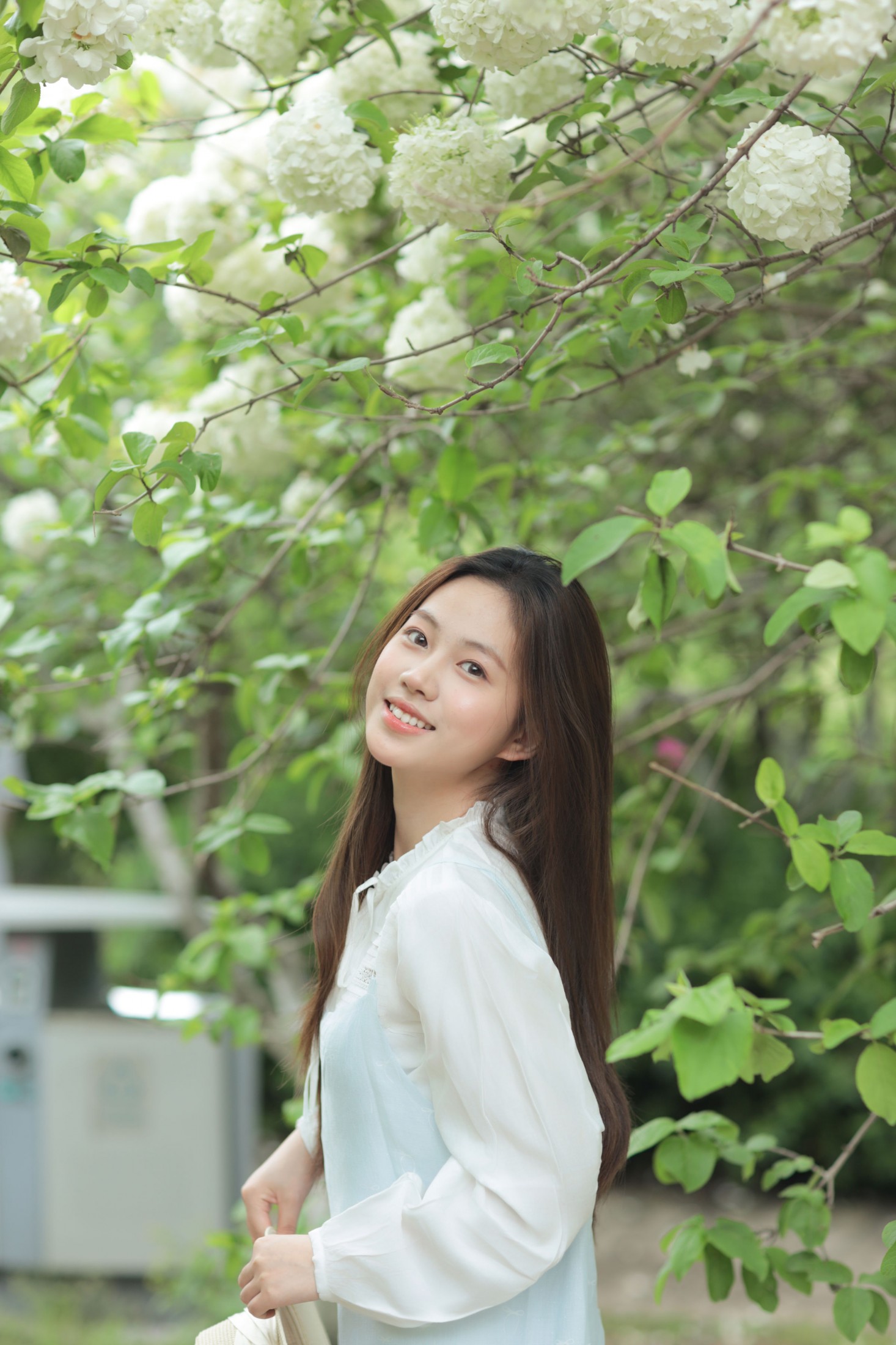 《阴天的明媚笑容》[35P]