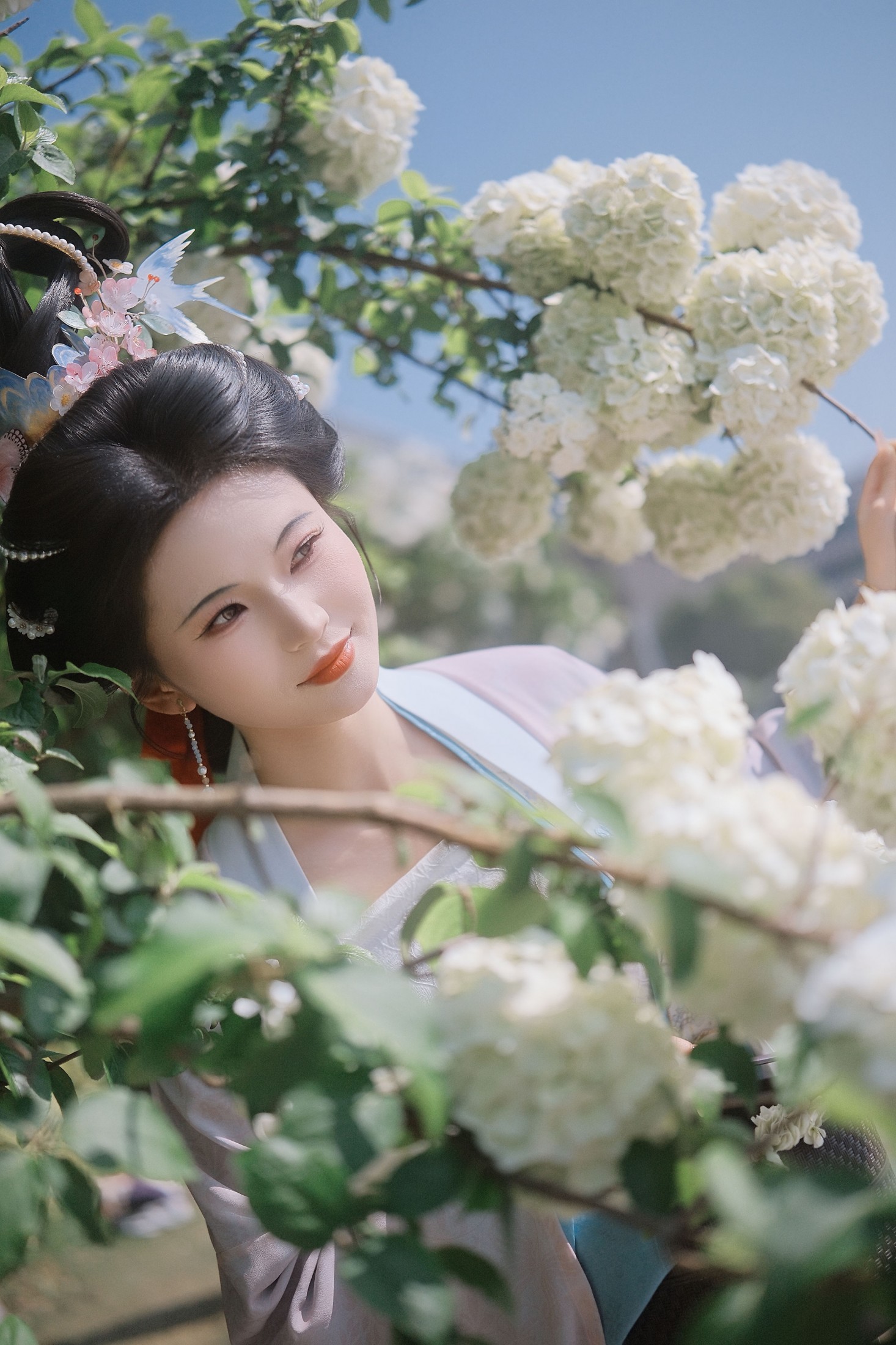 《春满绣球》[22P]