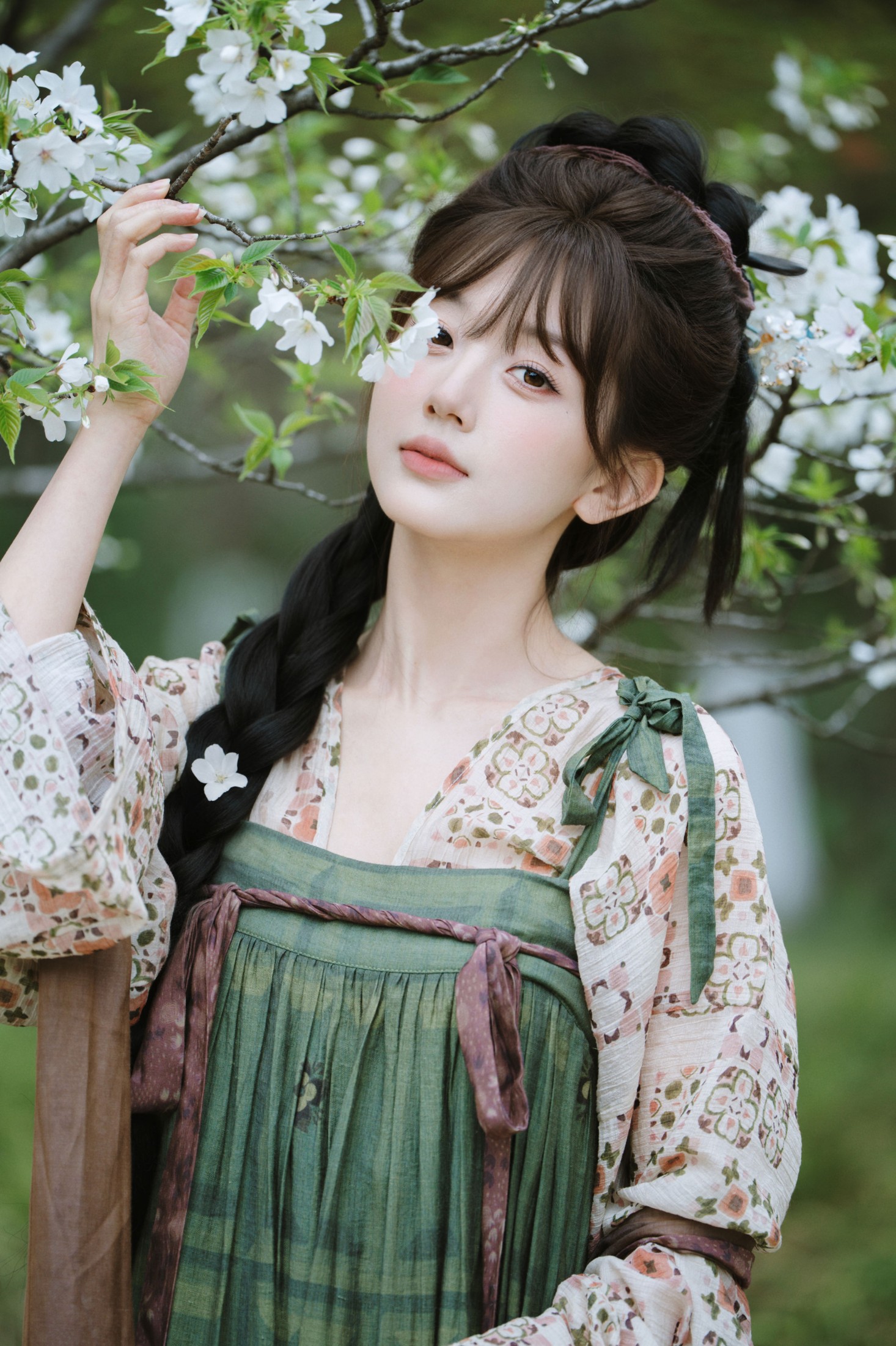 《春日迟迟》[26P]