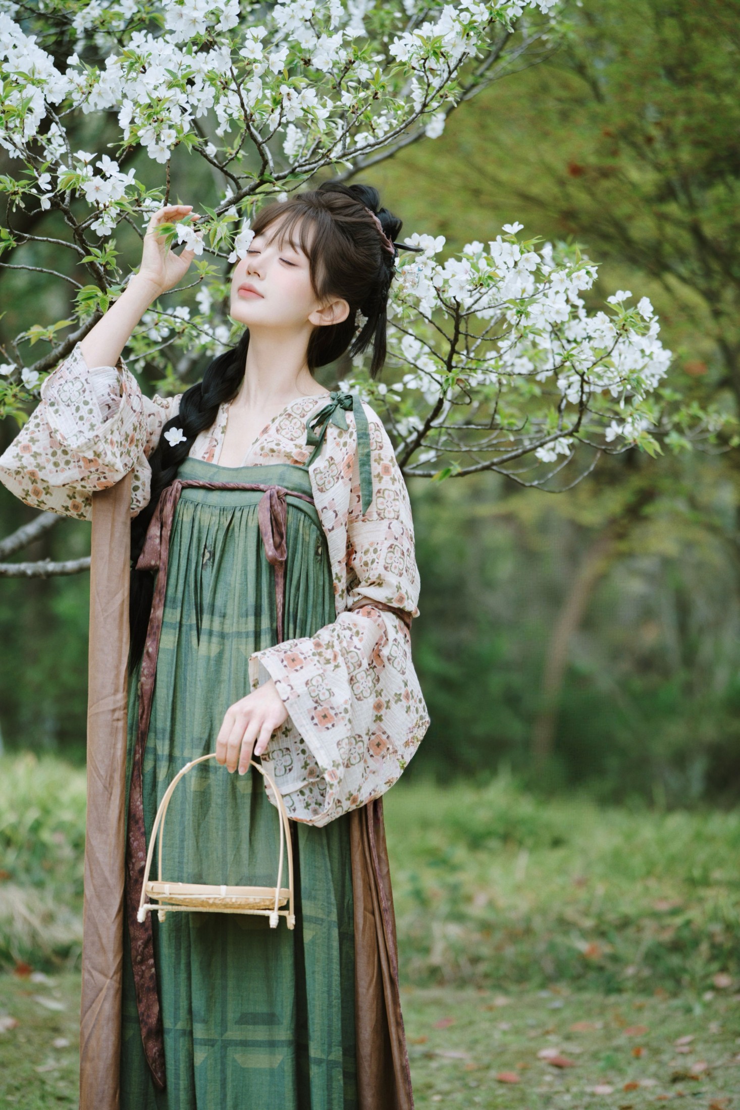 《春日迟迟》[26P]