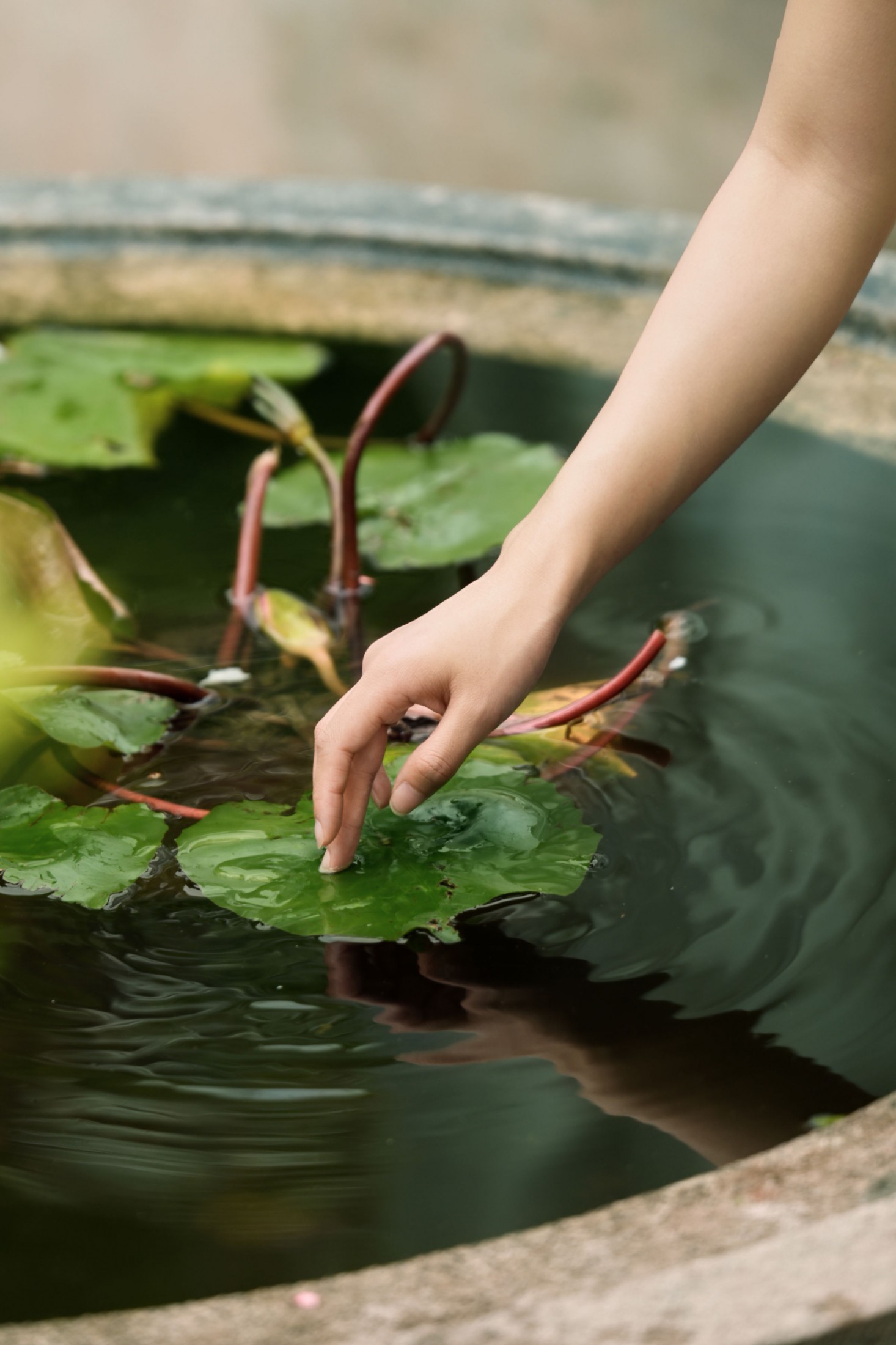 《森系+法式的烂漫少女》[23P]