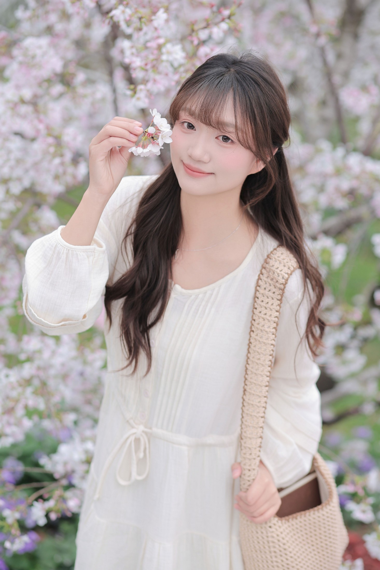 《春日樱花》[16P]