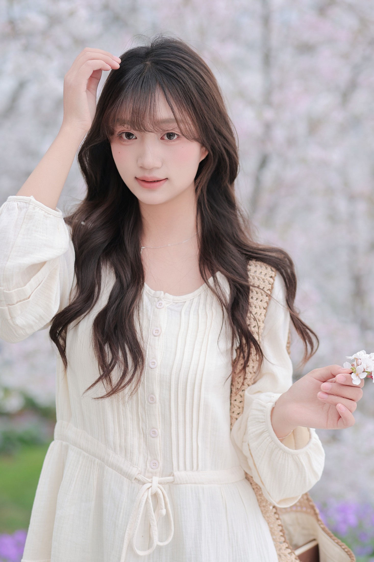 《春日樱花》[16P]