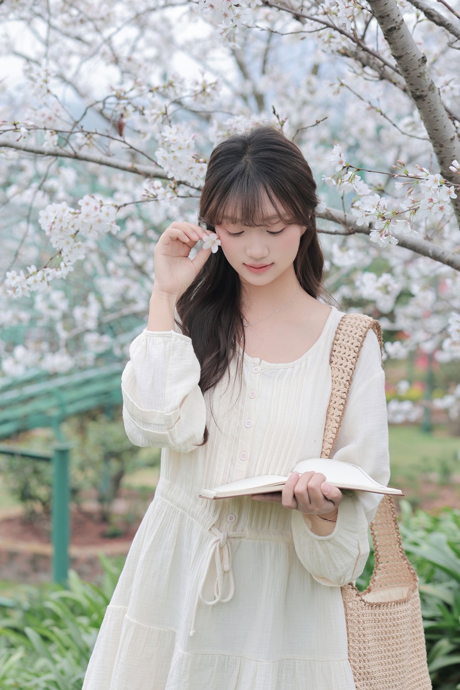 《春日樱花》[16P]