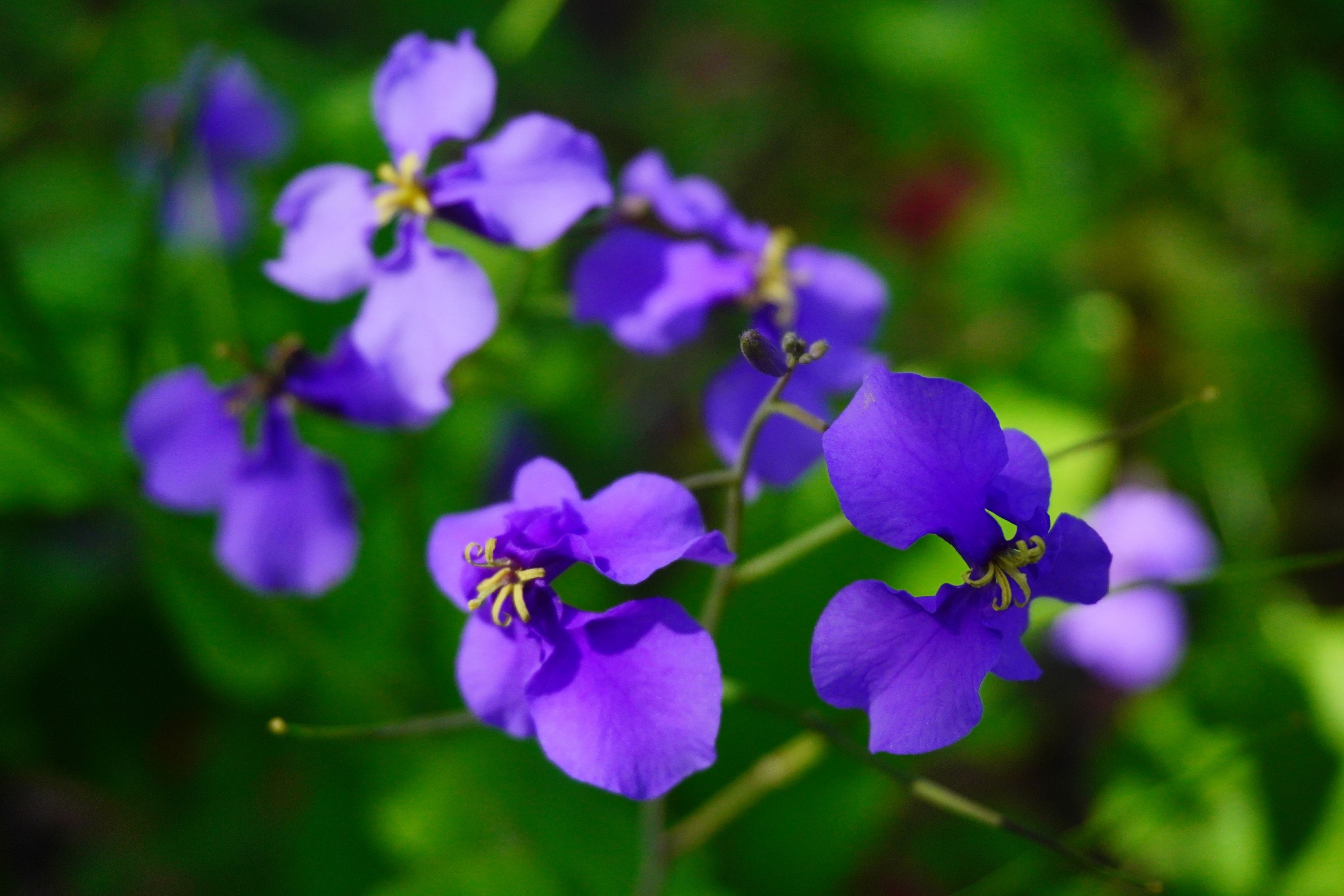 《冬天之美》[11P]