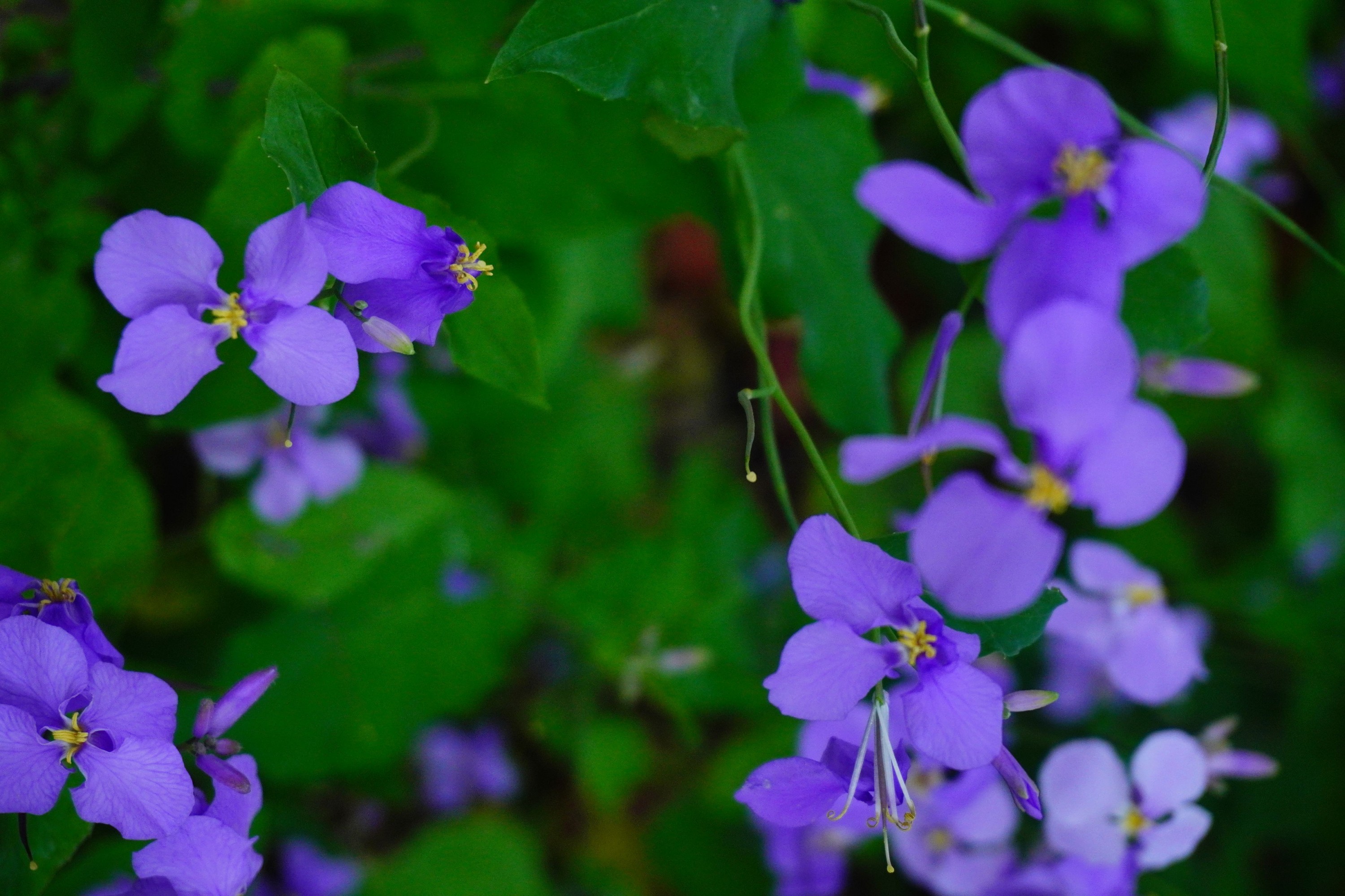 《冬天之美》[11P]