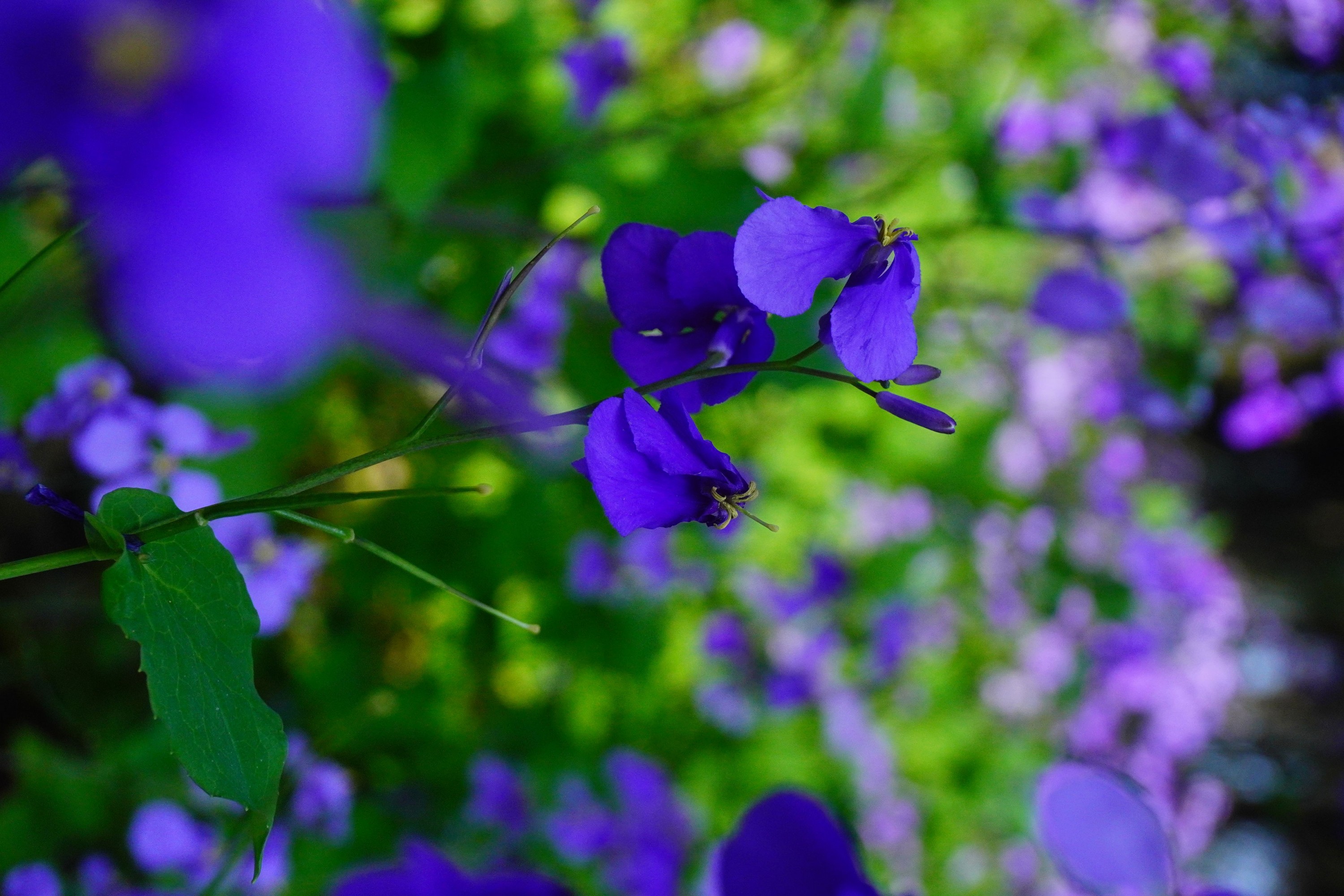 《冬天之美》[11P]