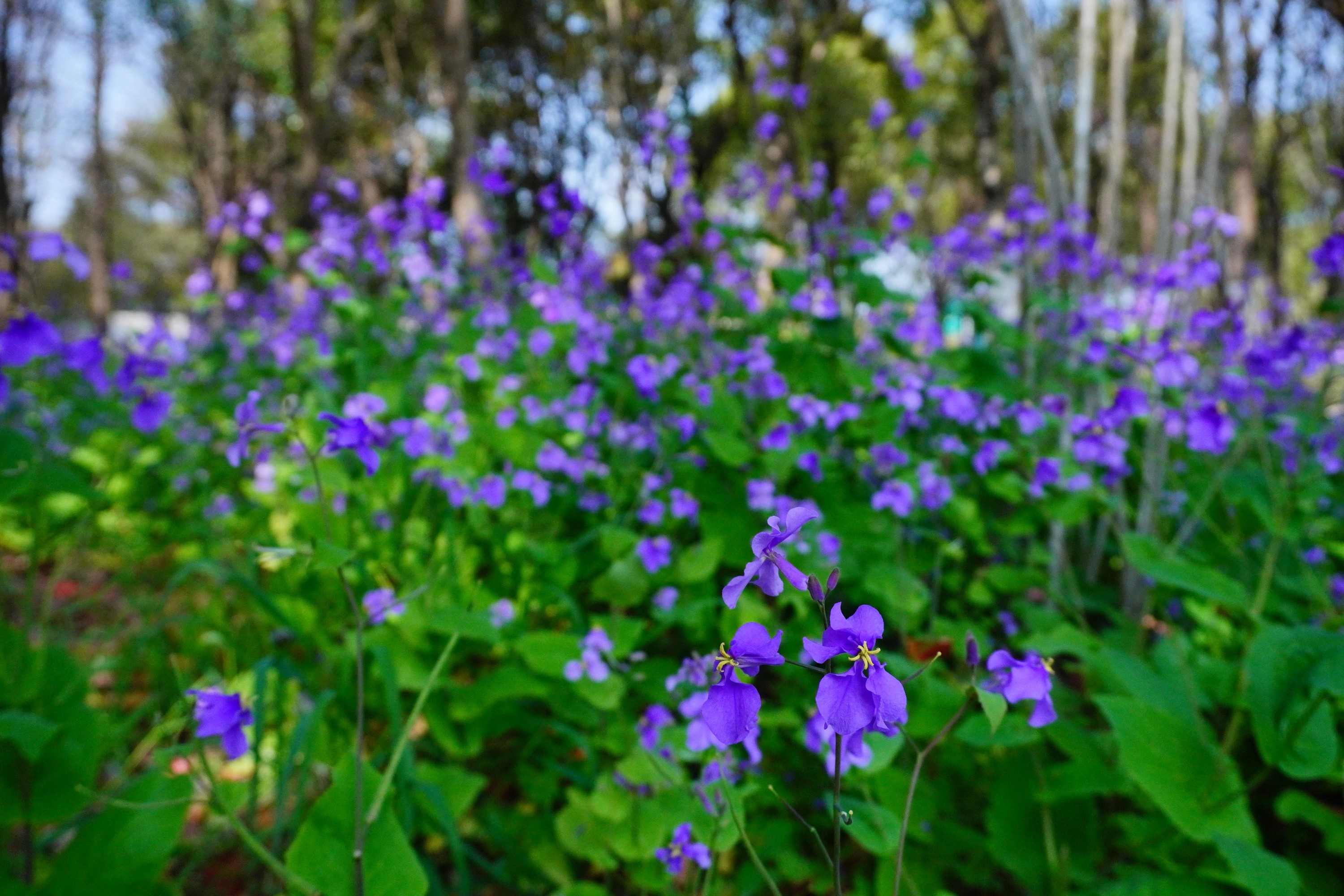 《冬天之美》[11P]
