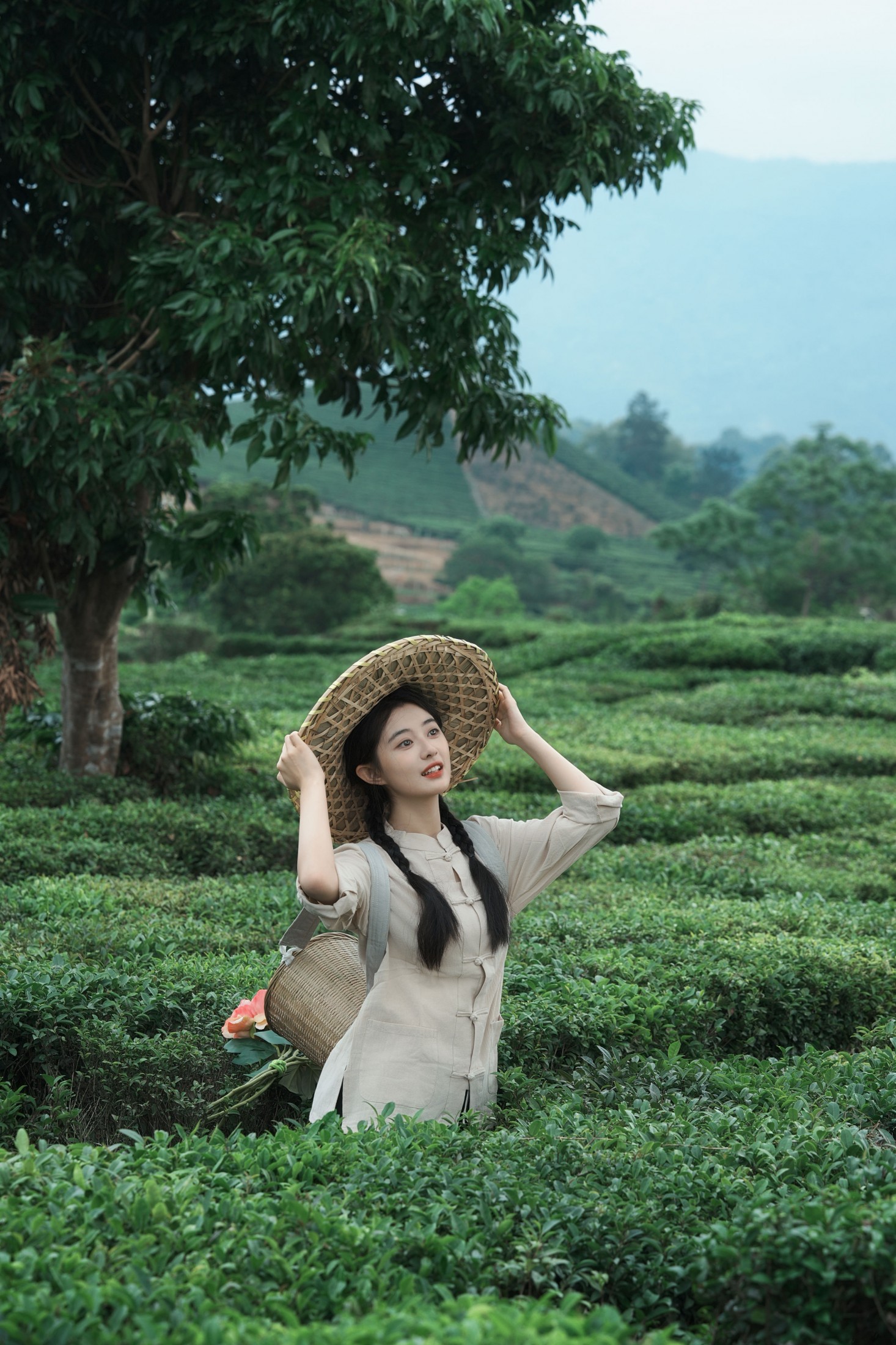 《采茶纪｜把春天，揉进一捧新茶里》[23P]