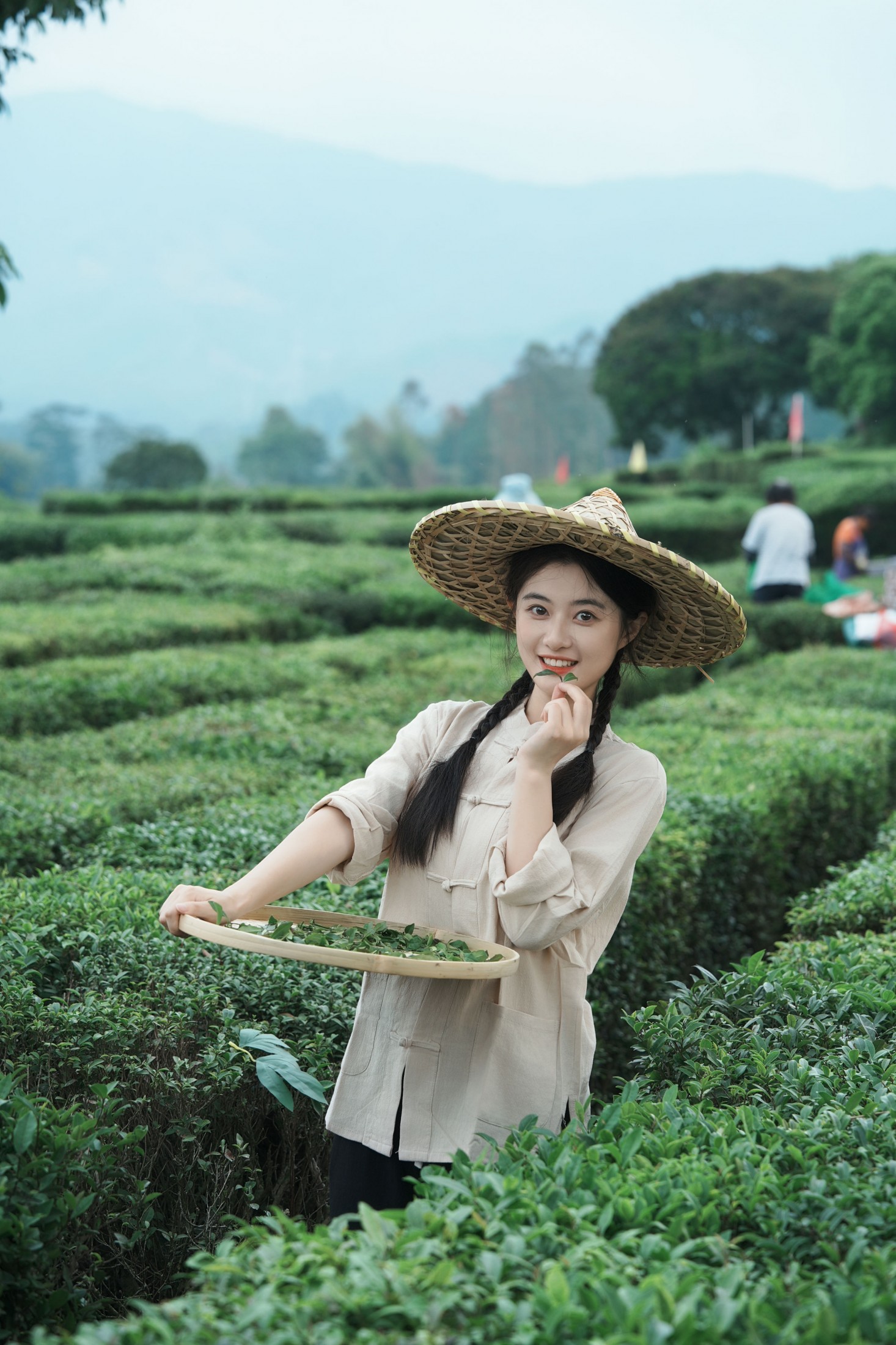 《采茶纪｜把春天，揉进一捧新茶里》[23P]