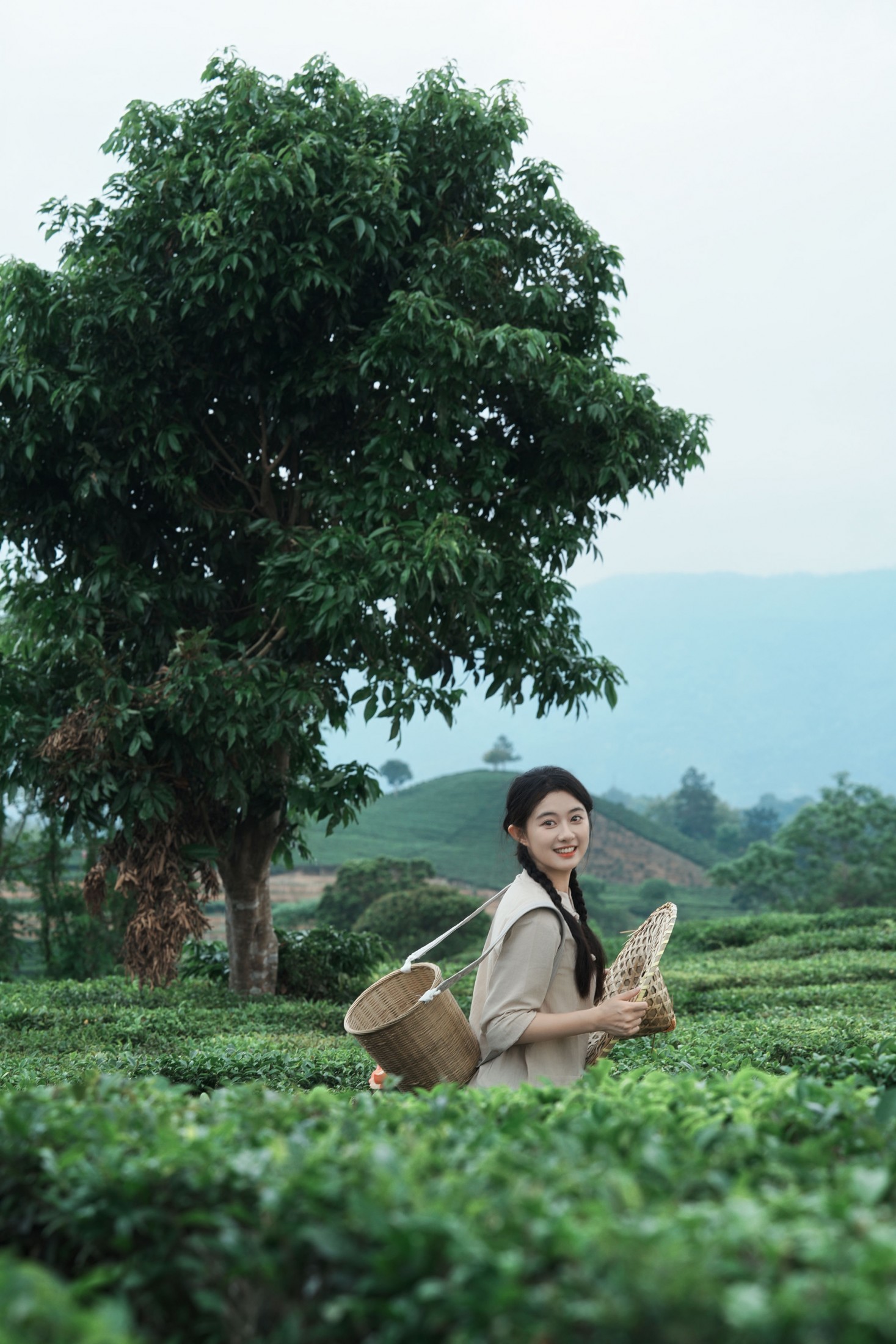 《采茶纪｜把春天，揉进一捧新茶里》[23P]