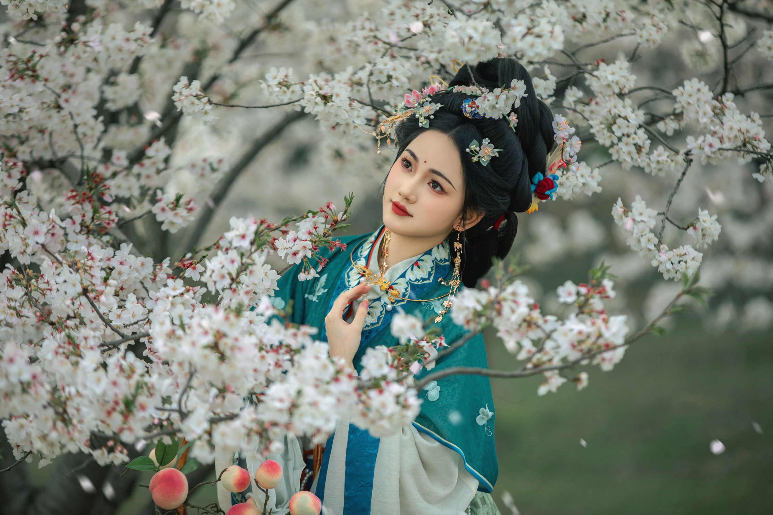 《樱花开的时候》[13P]