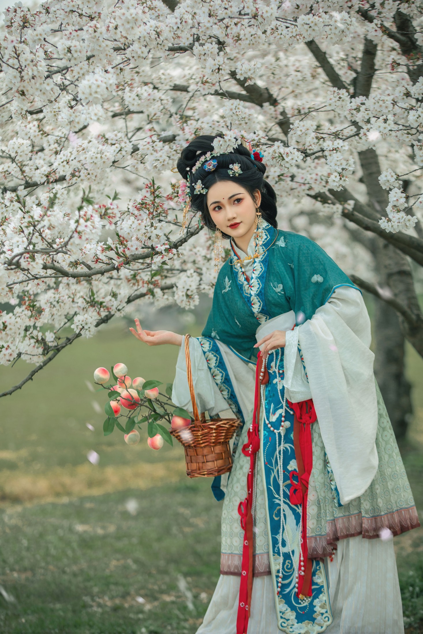 《樱花开的时候》[13P]