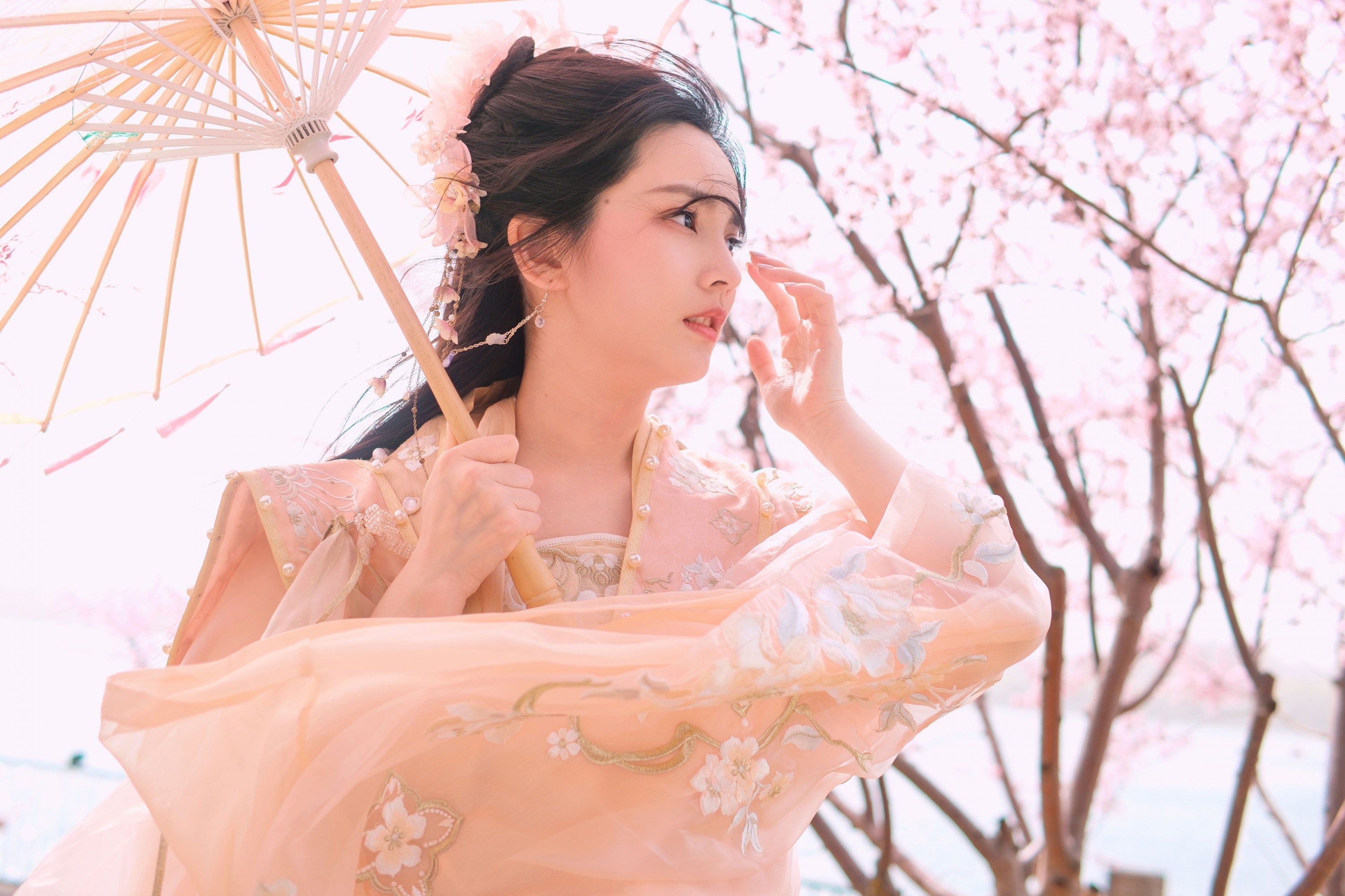 《春风沉醉不展愁眉》[25P]