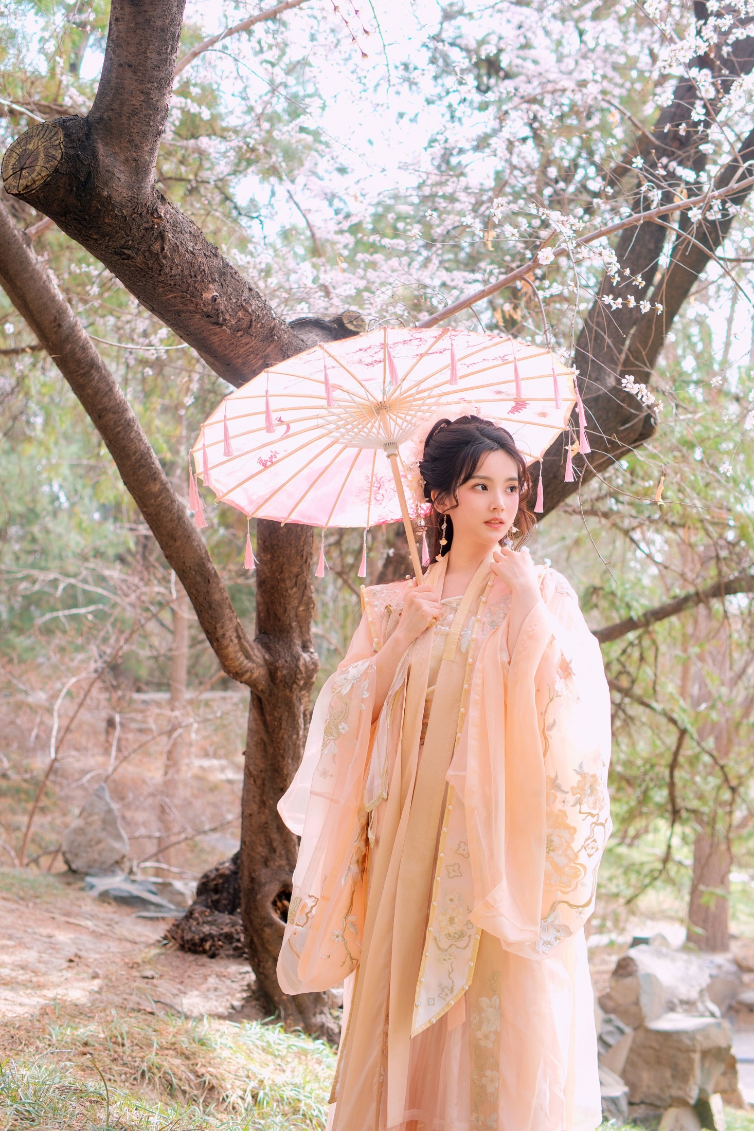 《春风沉醉不展愁眉》[25P]