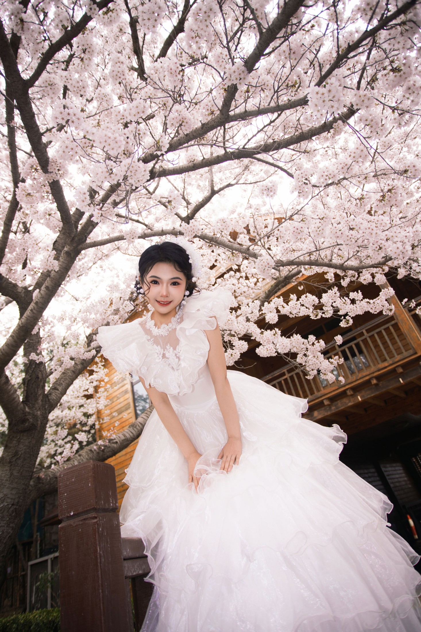 《春日樱之曲》[22P]