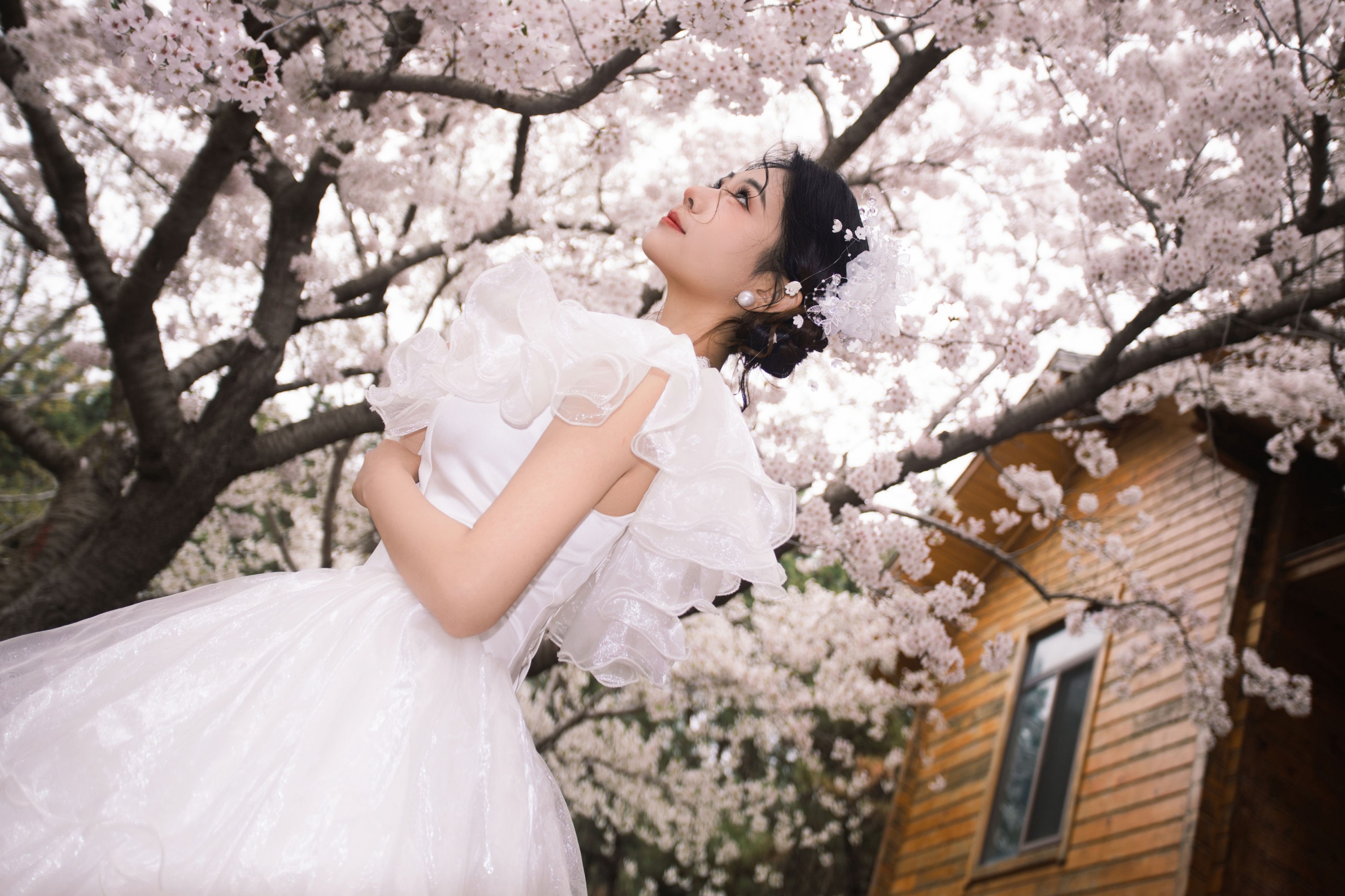 《春日樱之曲》[22P]