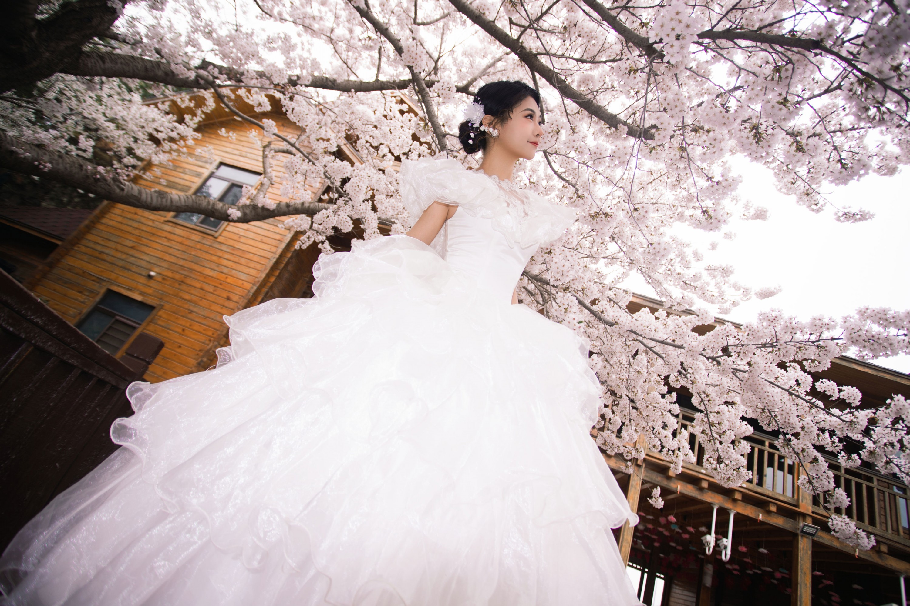 《春日樱之曲》[22P]