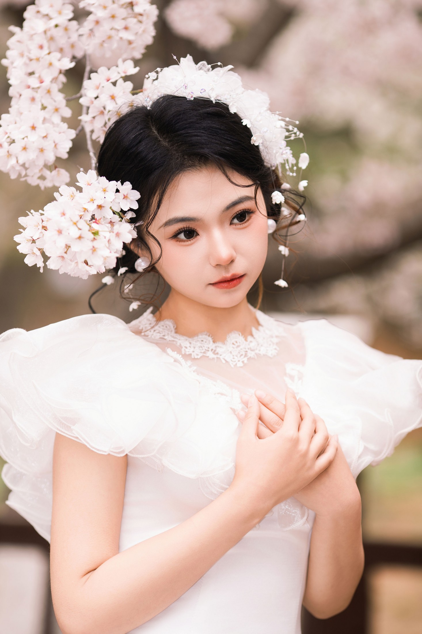 《春日樱之曲》[22P]