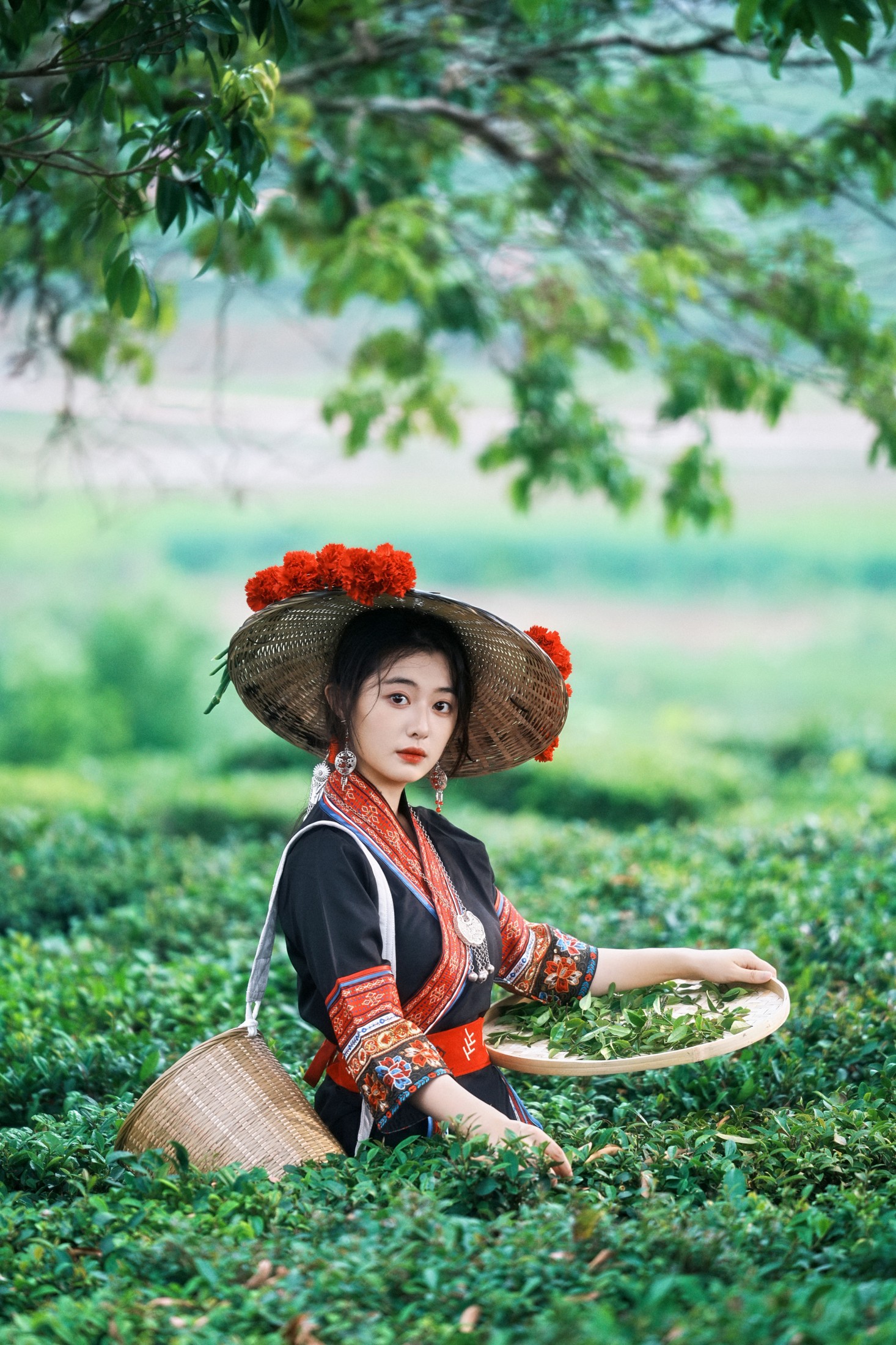 《当畲族的黑红撞色，遇上万亩茶园的青绿。》[26P]