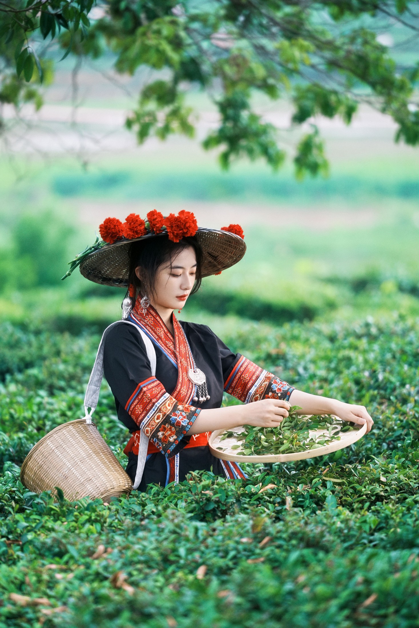 《当畲族的黑红撞色，遇上万亩茶园的青绿。》[26P]