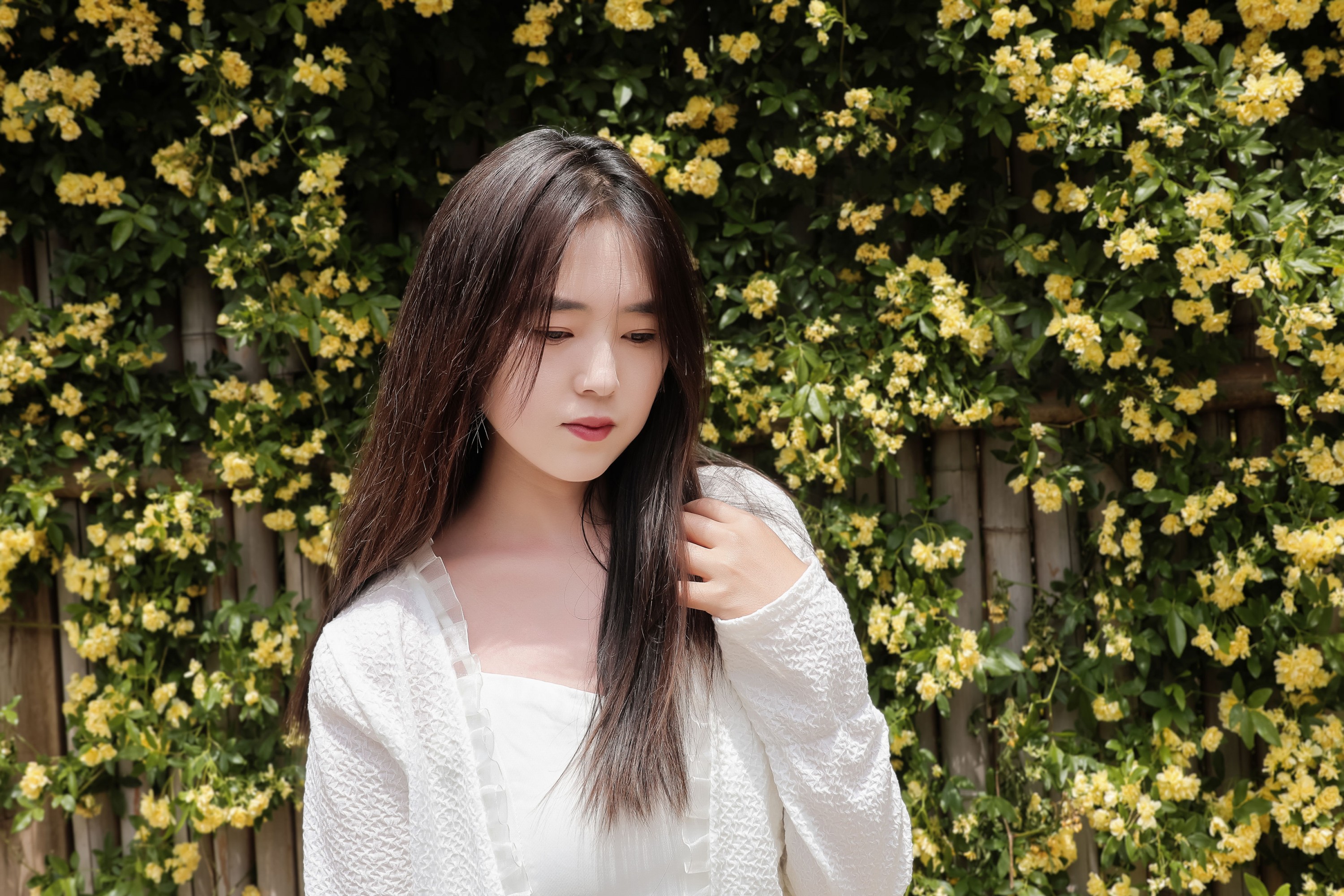 《黄木香白衣模特户外美女》[26P]