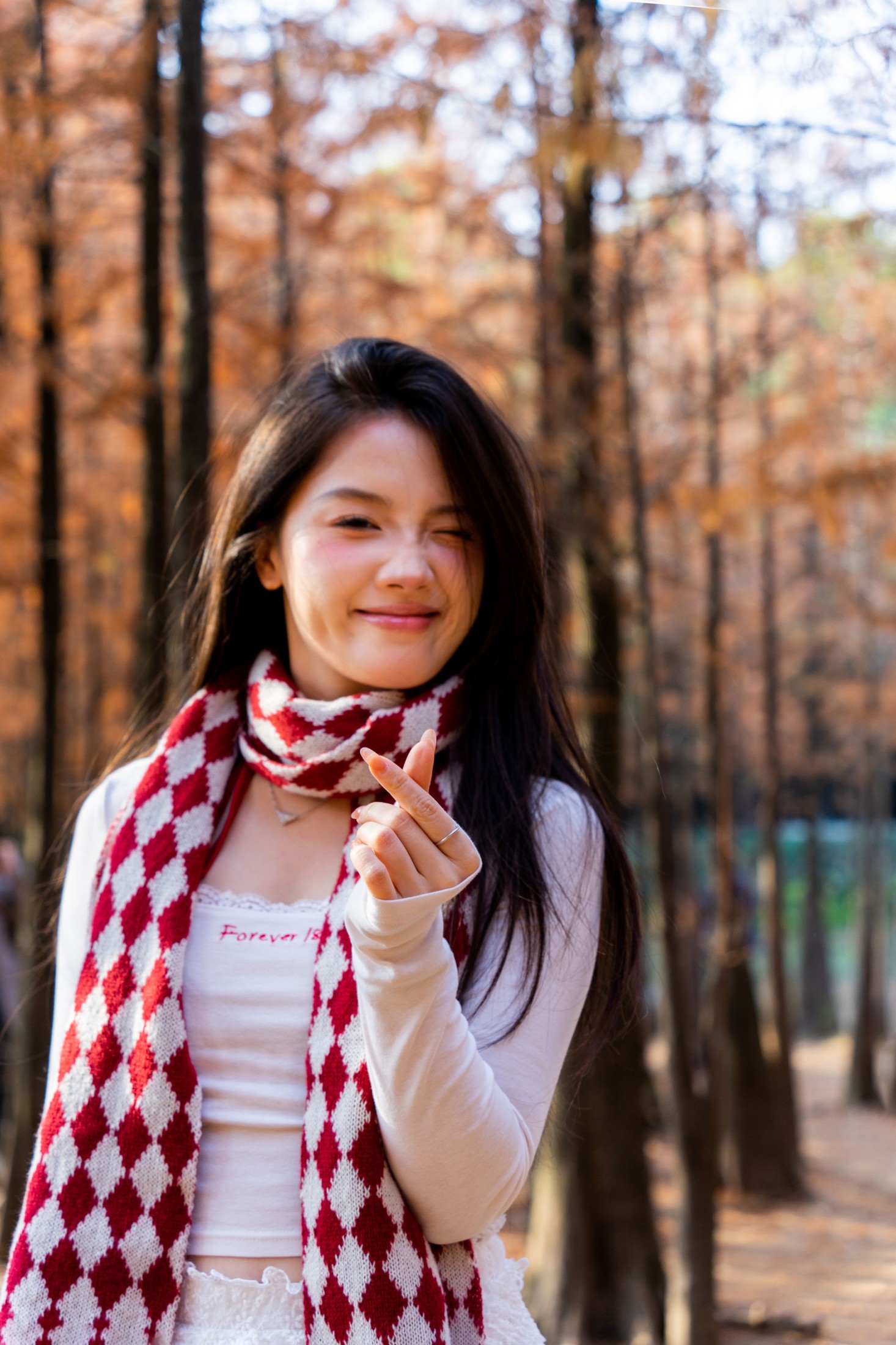 《大夫山网红林》[22P]