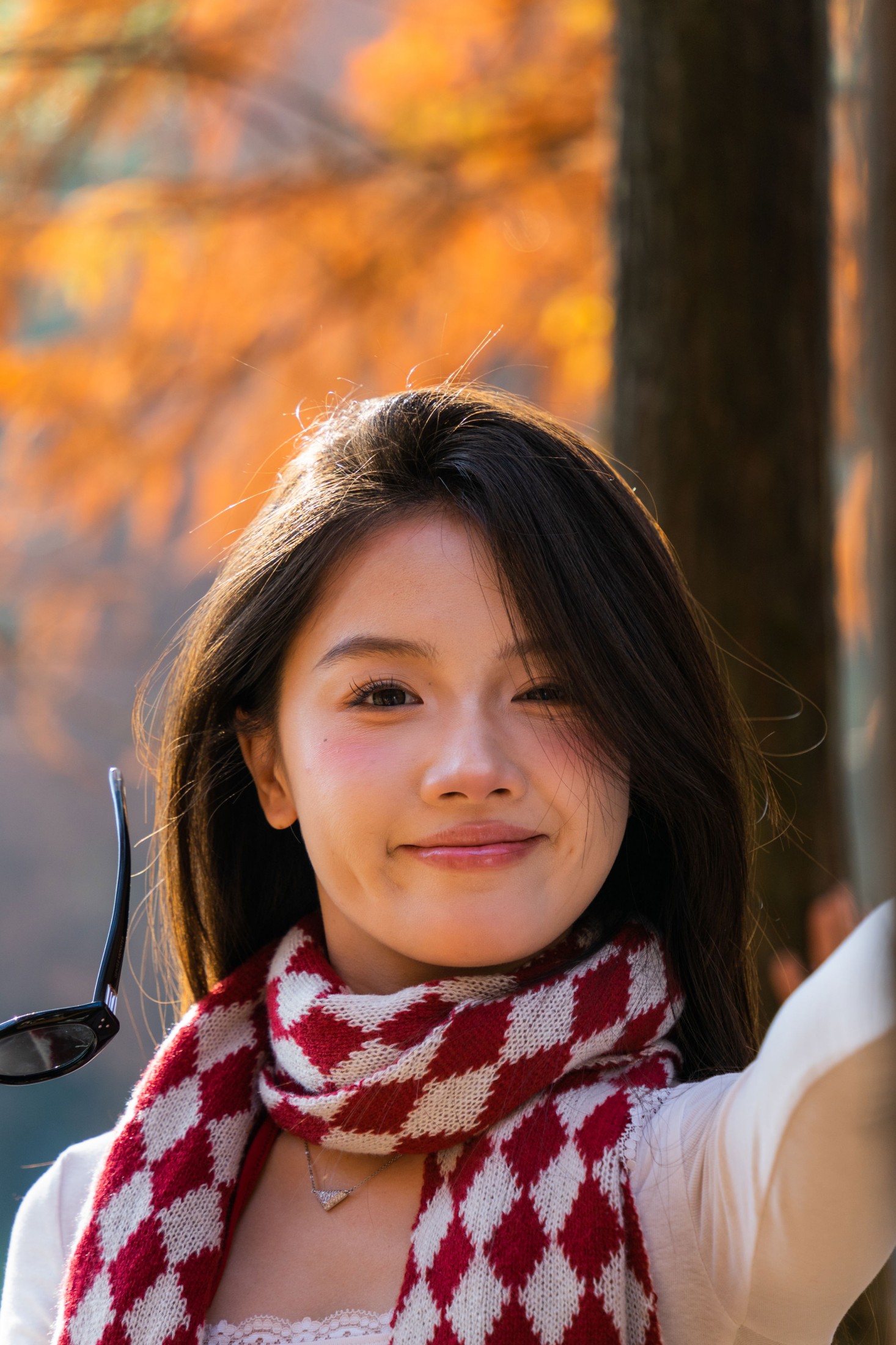 《大夫山网红林》[22P]